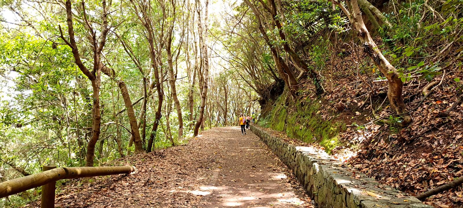 Sendero de los Sentidos y Sendero de las Hiedras – Anaga Accesible