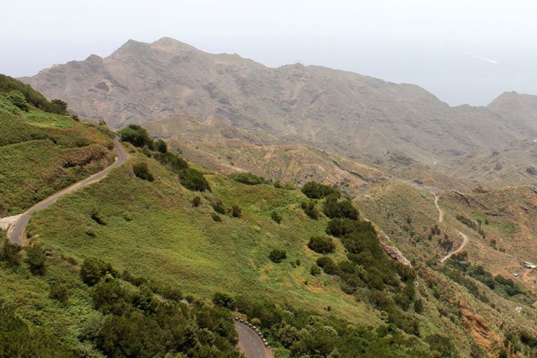 Experiencia Forestal - Con Tazirga