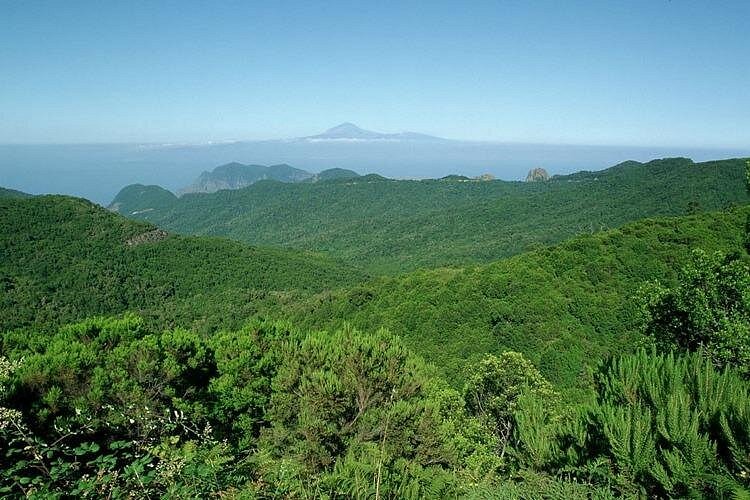 Tour Guiado de Día Completo a La Gomera desde Tenerife