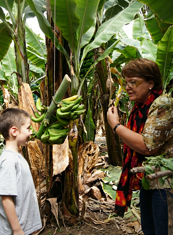 Banana Experience – Finca Las Margaritas (Tenerife Sur)