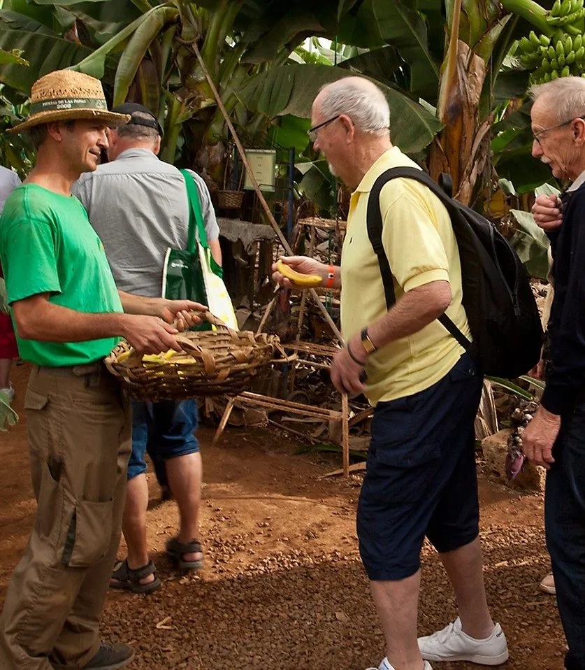Banana Experience – Finca Las Margaritas (Tenerife Sur)