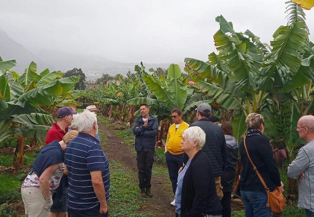 Eco Banana Farm Tour – La Orotava