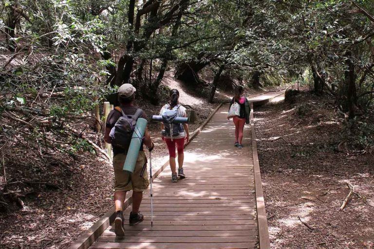 Experiencia Forestal - Con Tazirga