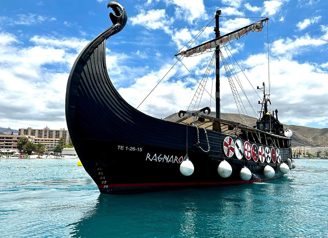 Crucero Vikingo con Avistamiento de Ballenas y Delfines