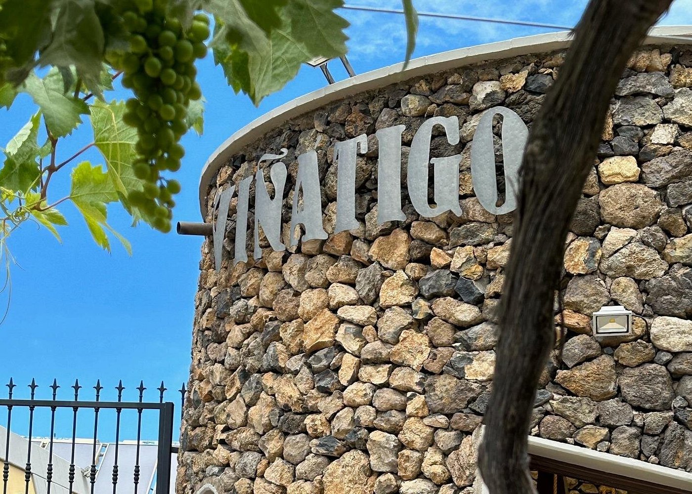 Visita Premium con Cata de 6 Vinos en Bodegas Viñátigo