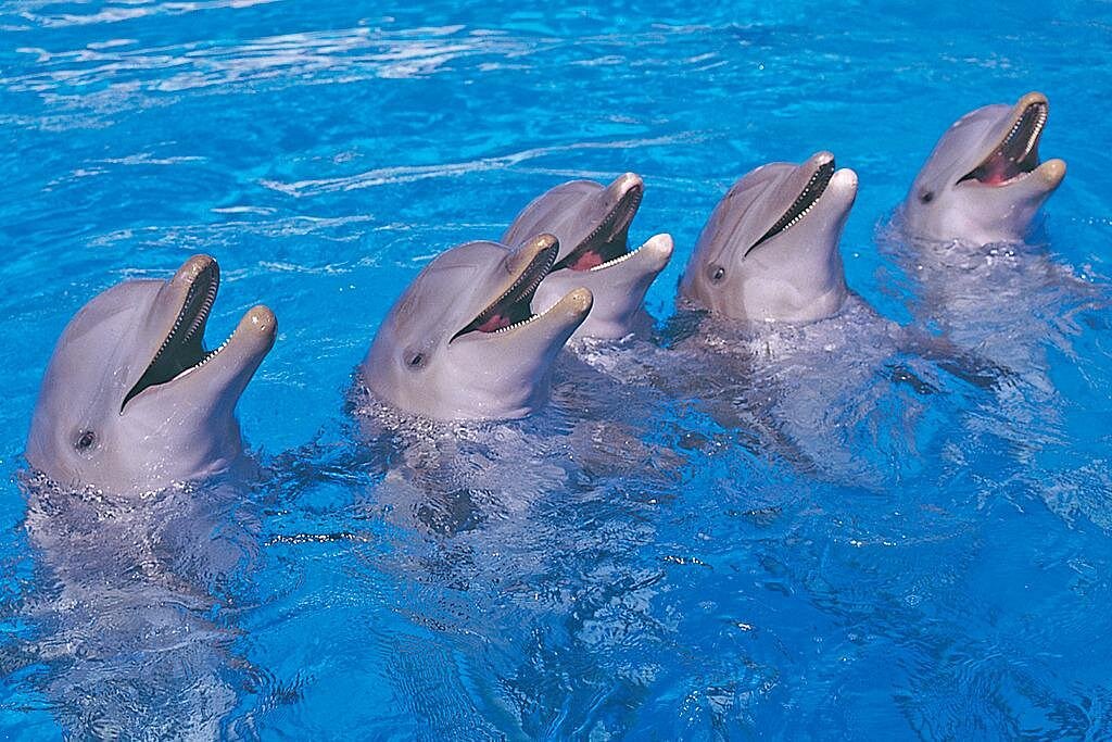 Entrada a Aqualand Tenerife