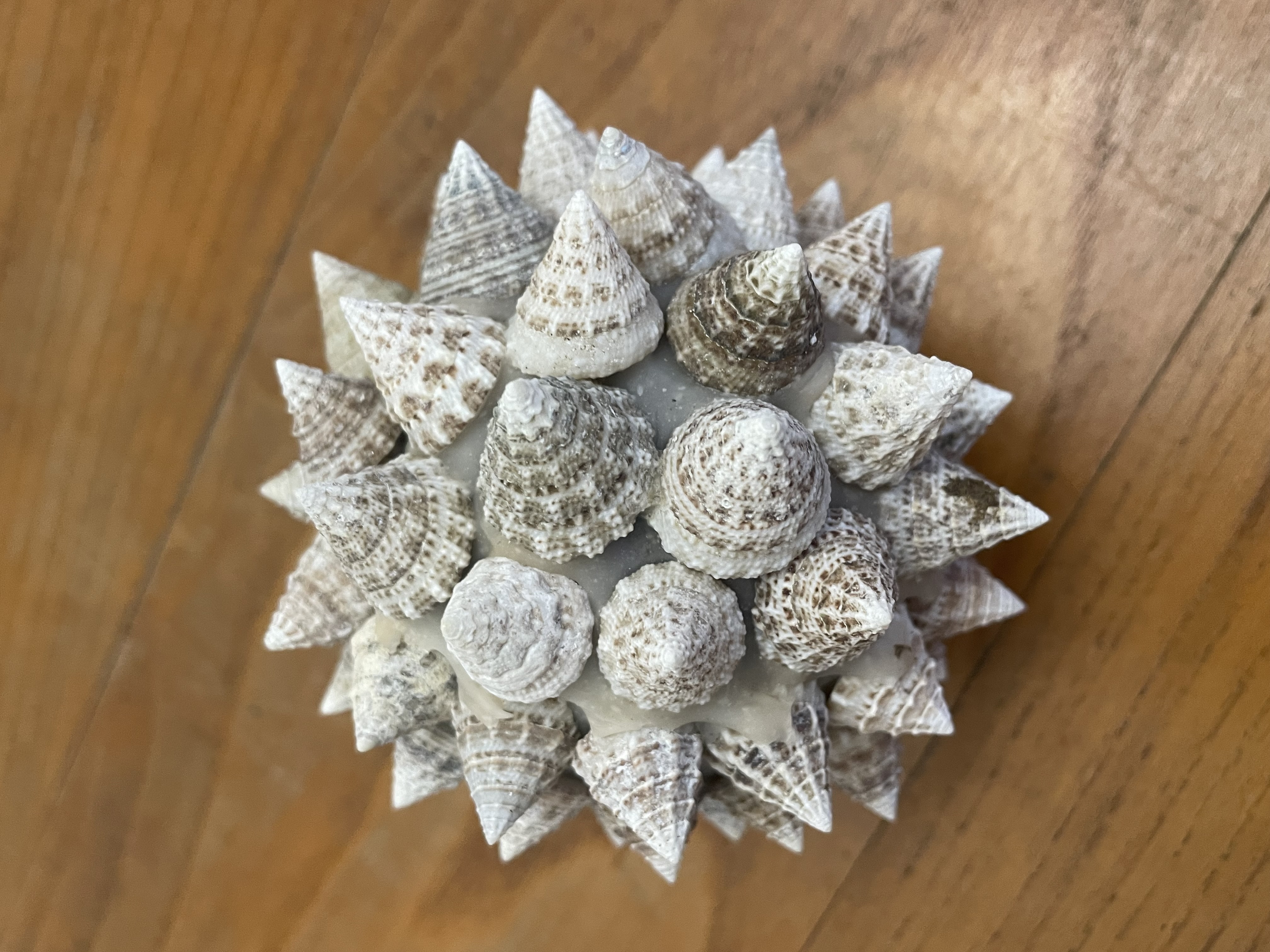 Boule décorative en coquillage