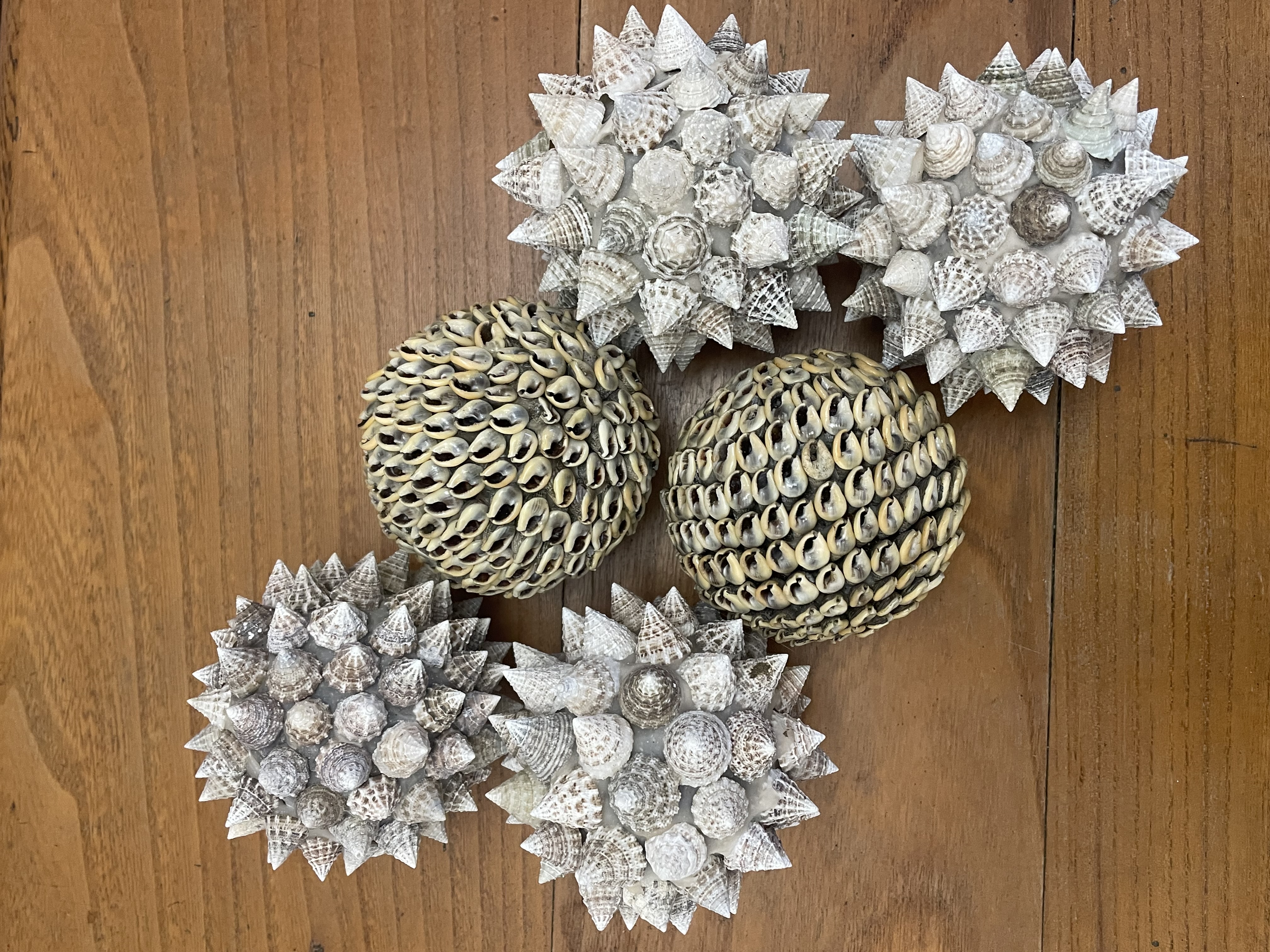 Boule décorative en coquillage