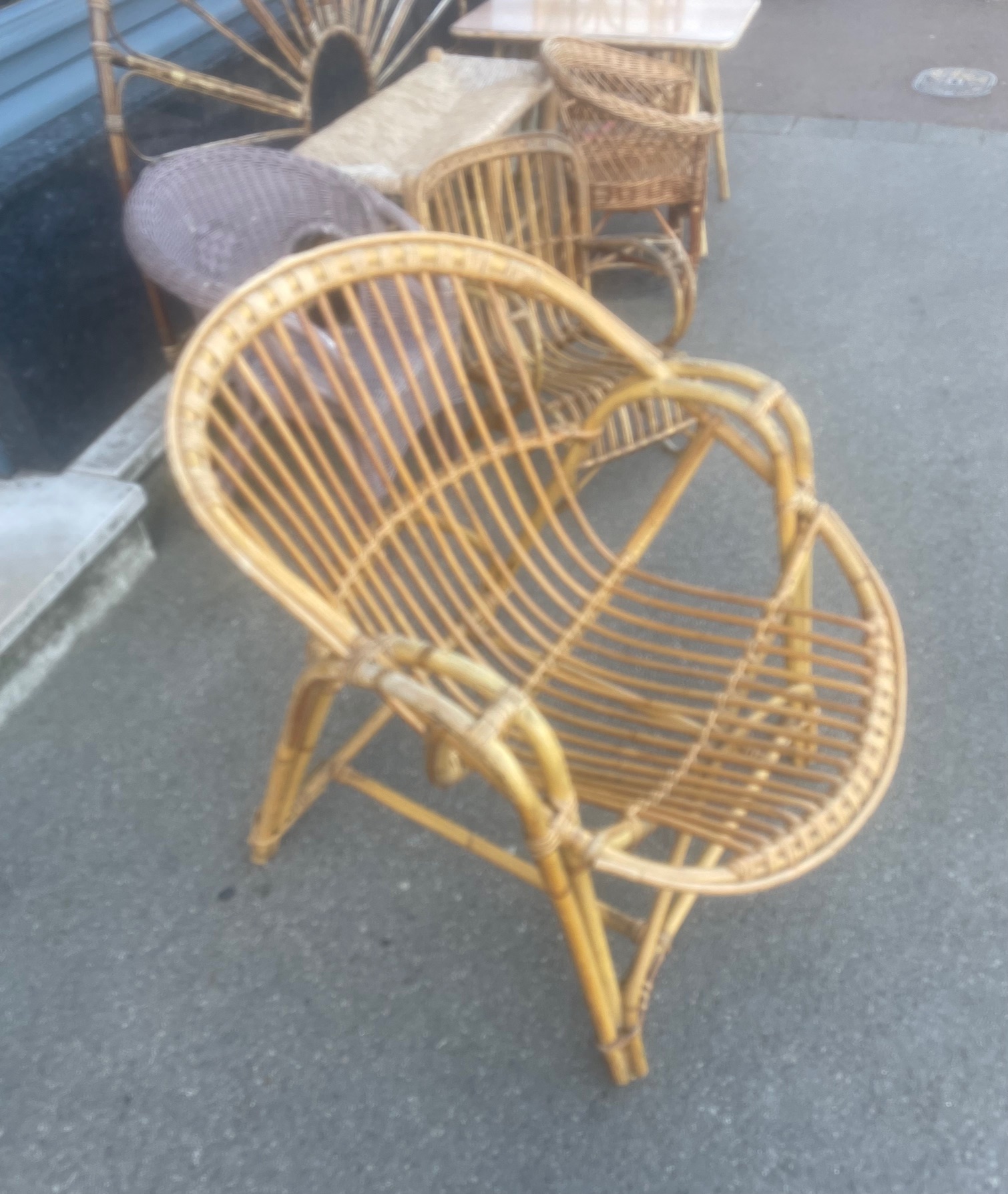 Fauteuil en rotin adulte
