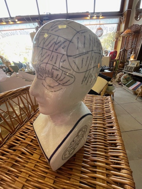 Tête de phrénologie en céramique craquelée 