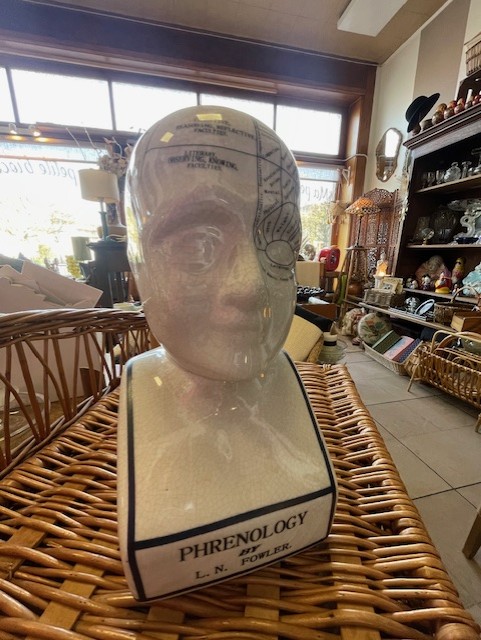 Tête de phrénologie en céramique craquelée 