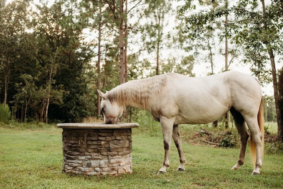 Concrete Water Trough