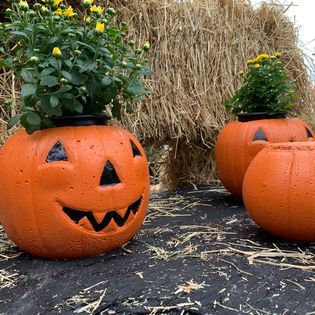 Concrete Pumpkin Planters