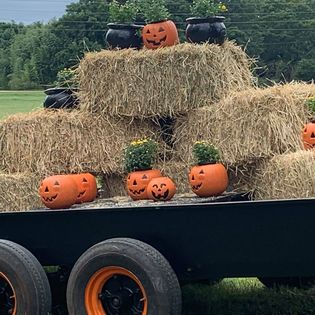 Concrete Pumpkin Planters