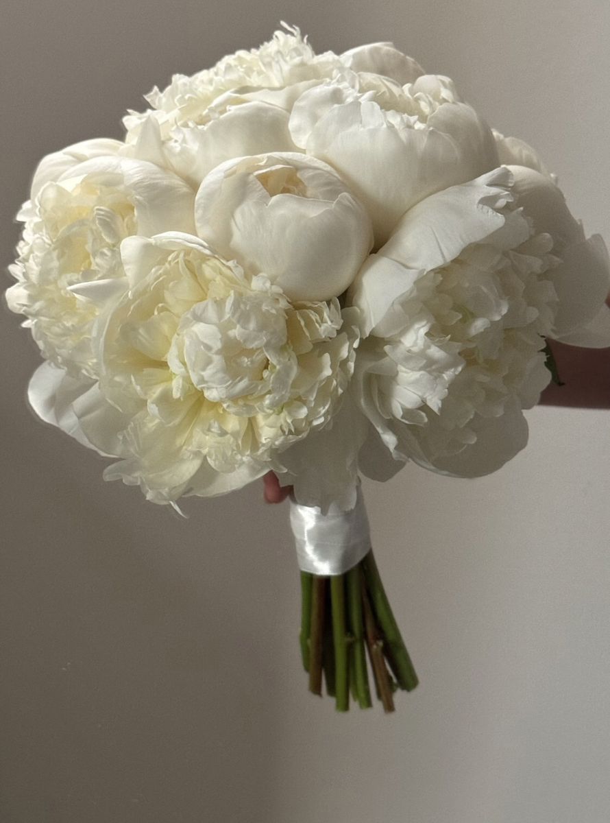 Ramo de Novia (Hortencia)