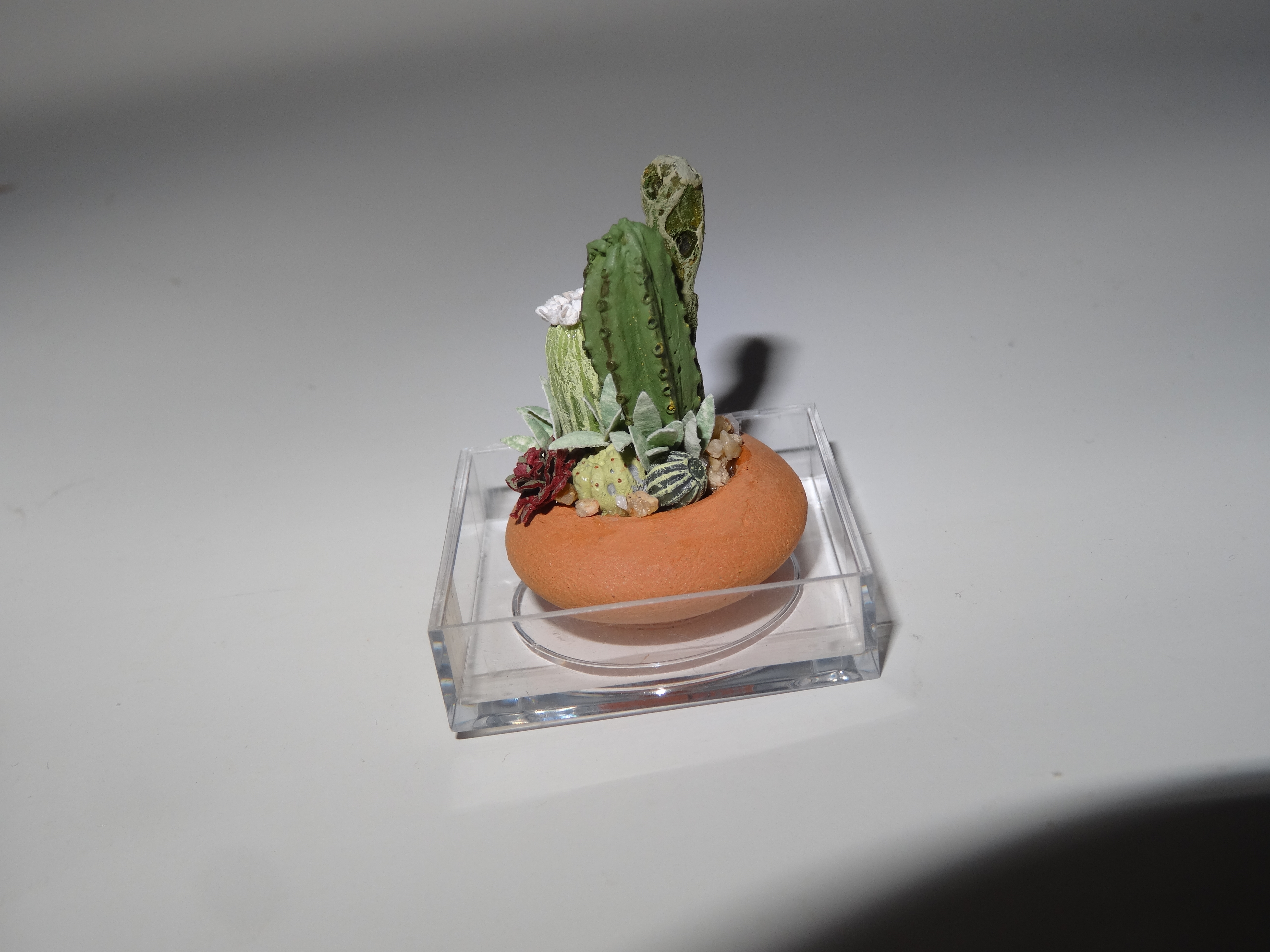 Artist-made succulent display dish