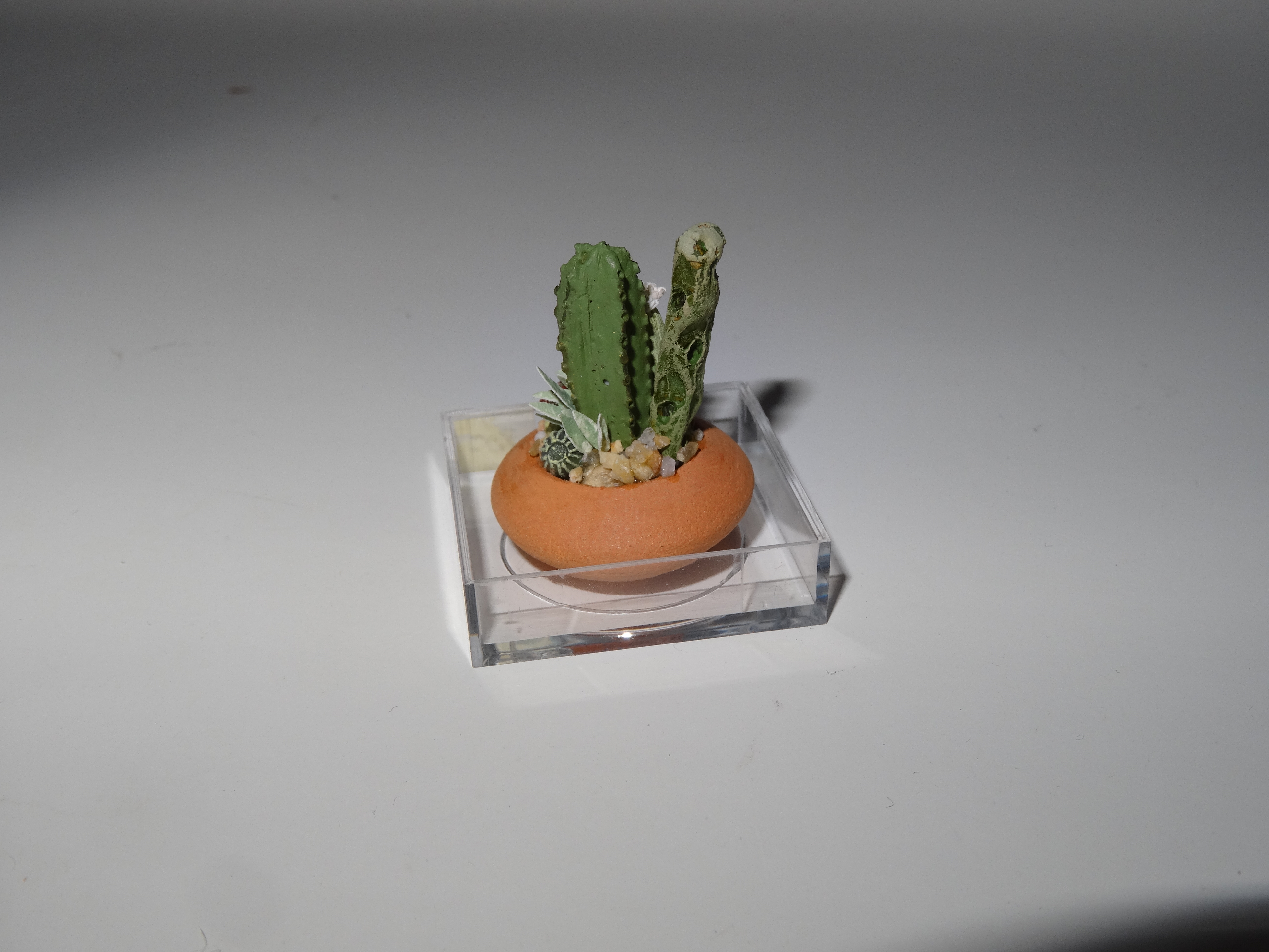 Artist-made succulent display dish