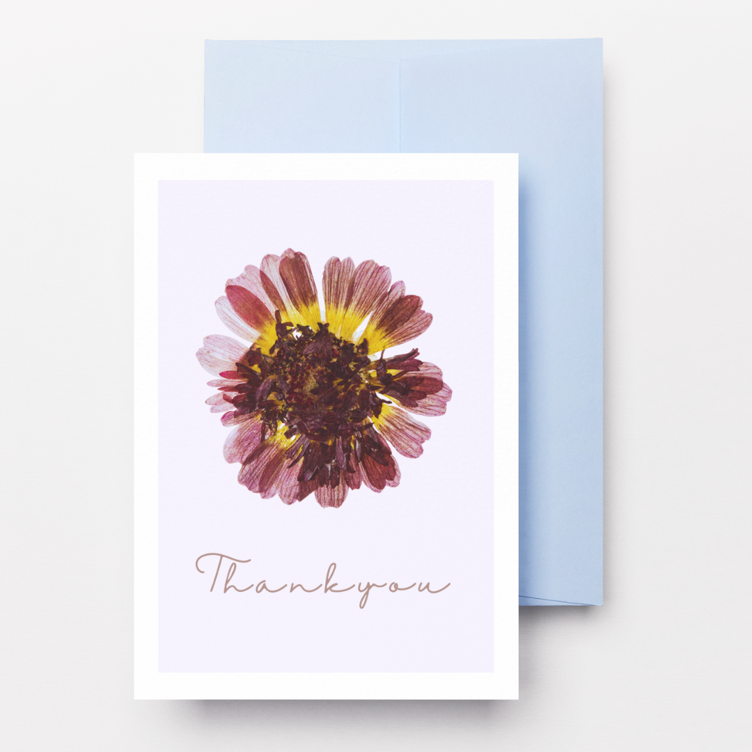 Tea Time Cards | Thank you Cards