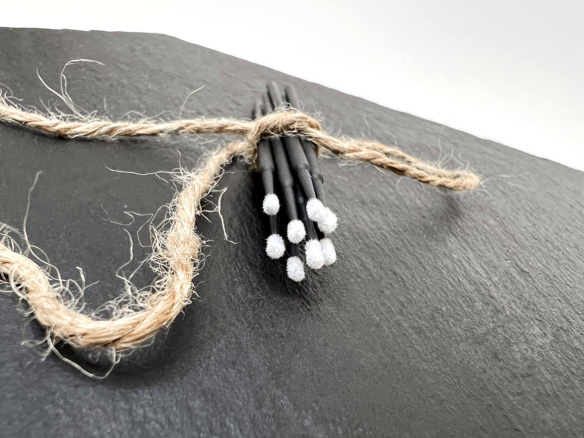 Macro šepetėliai juodi