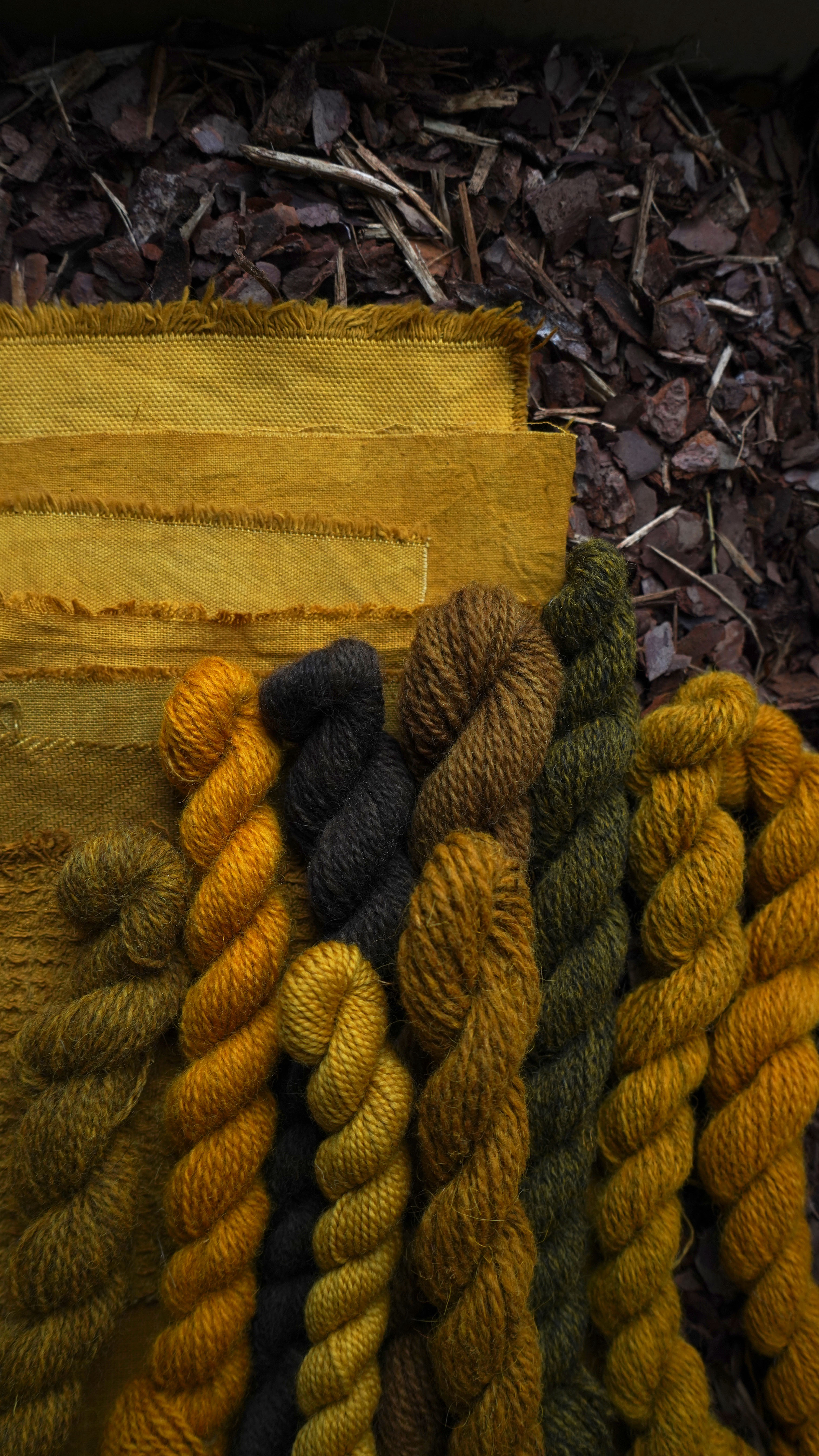 Pack of 10 plant extracts & pigments