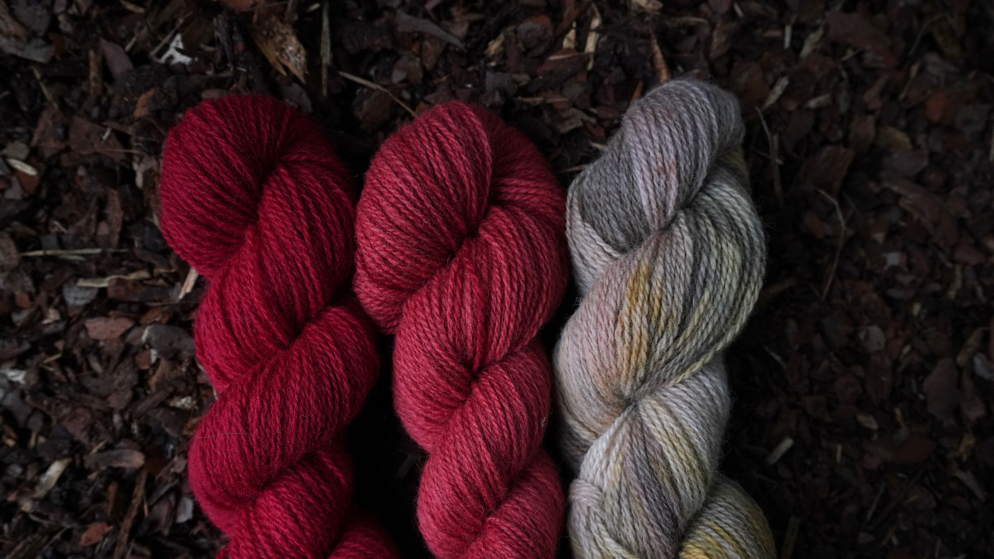 Plant dyed wool yarn set in 3 colors, 150 g