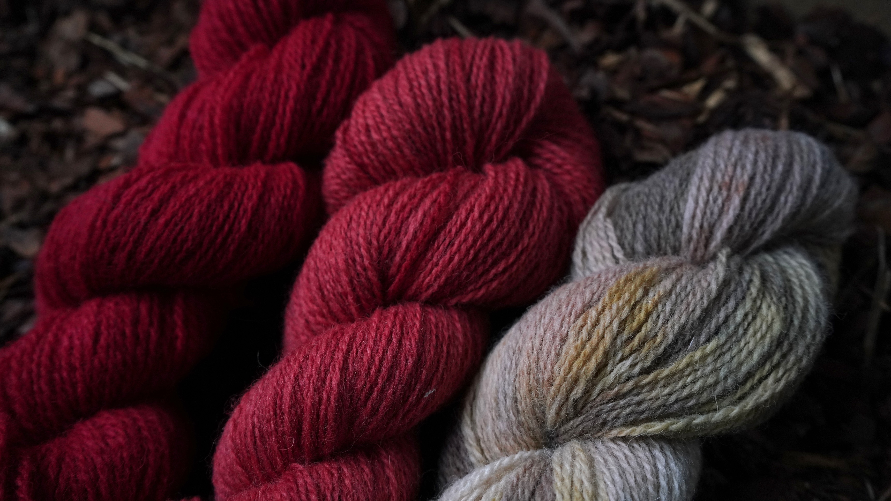 Plant dyed wool yarn set in 3 colors, 150 g