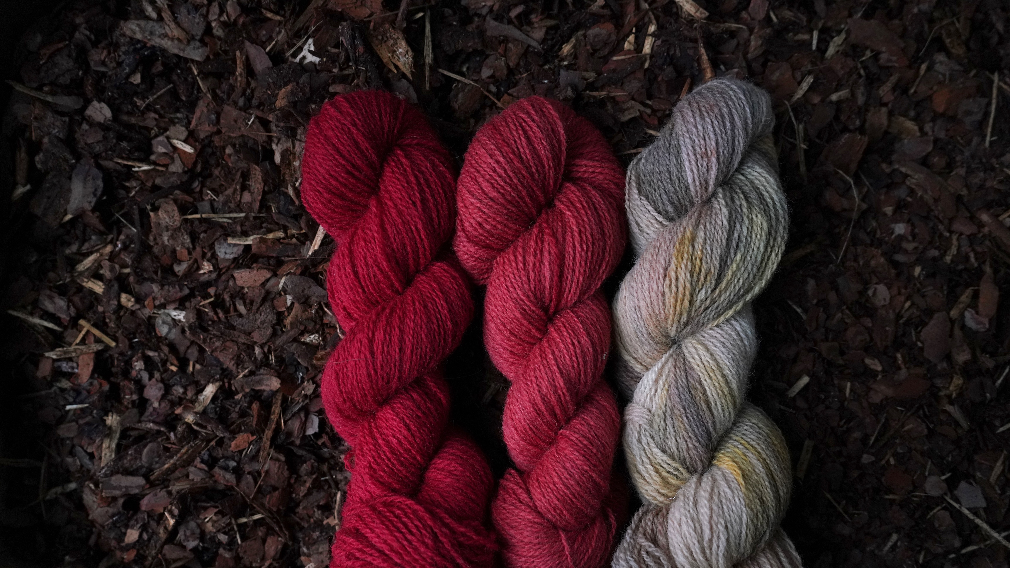 Plant dyed wool yarn set in 3 colors, 150 g