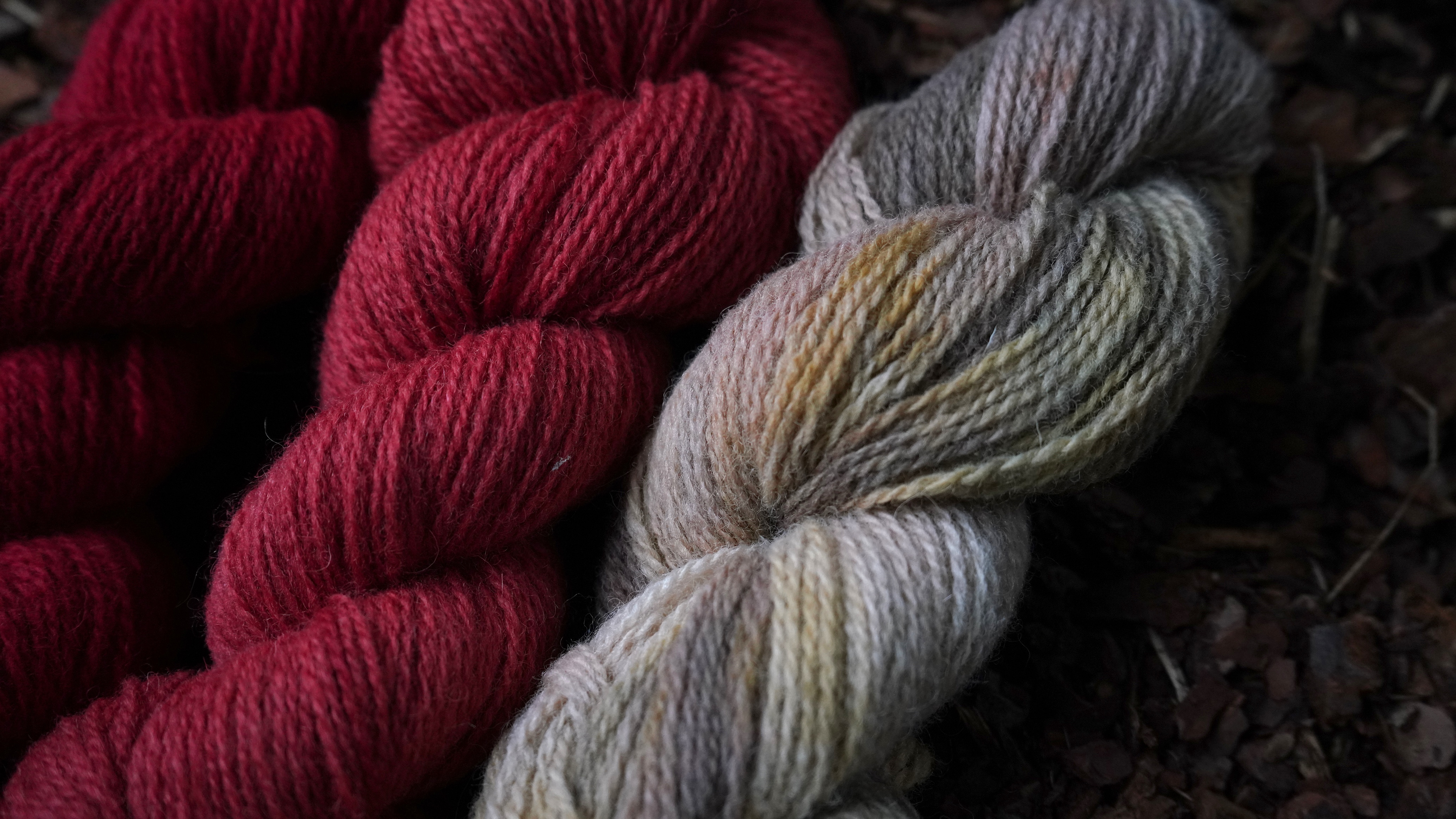 Plant dyed wool yarn set in 3 colors, 150 g