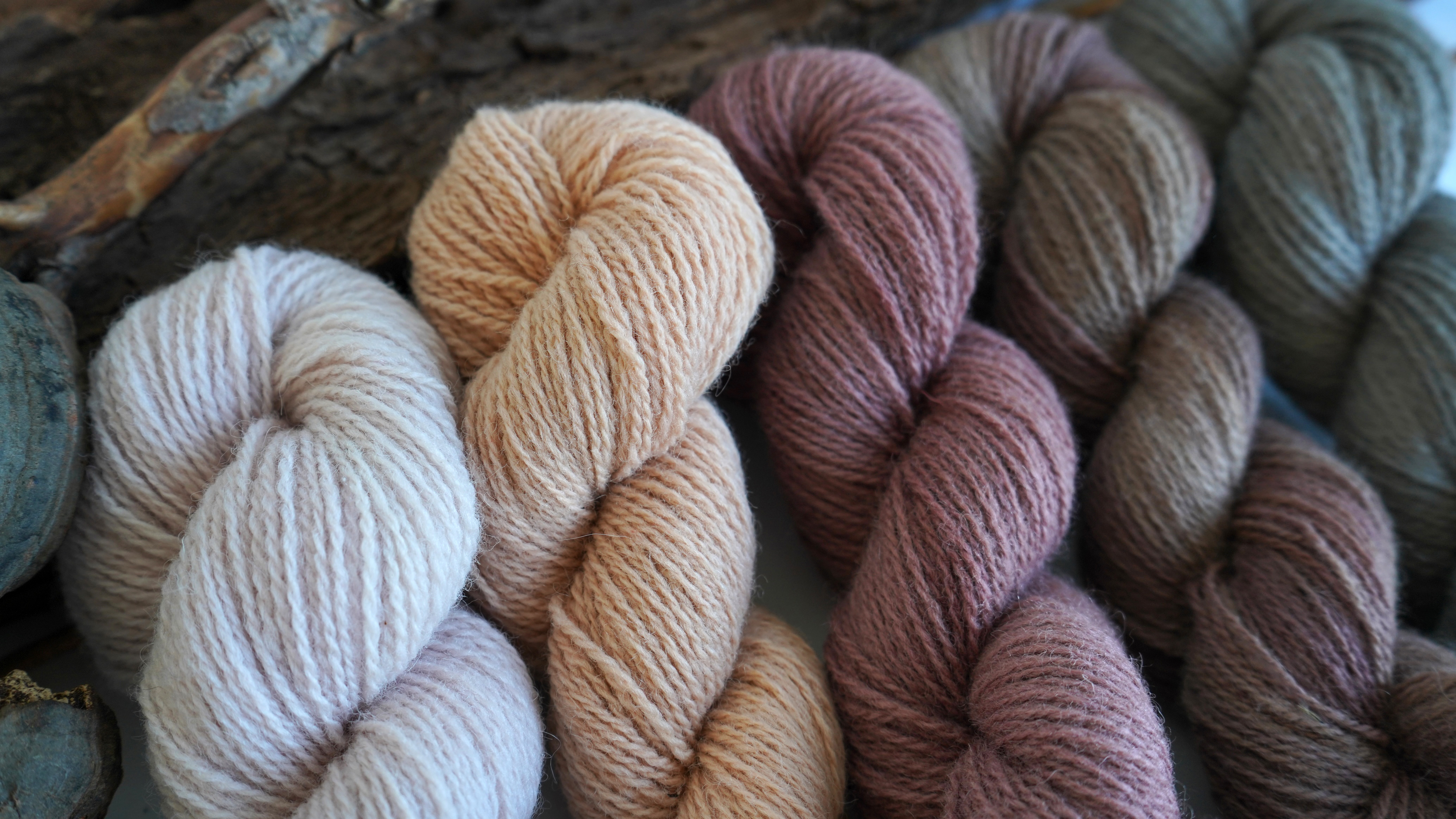 Plant dyed wool yarn set "Rosewood", 250 g