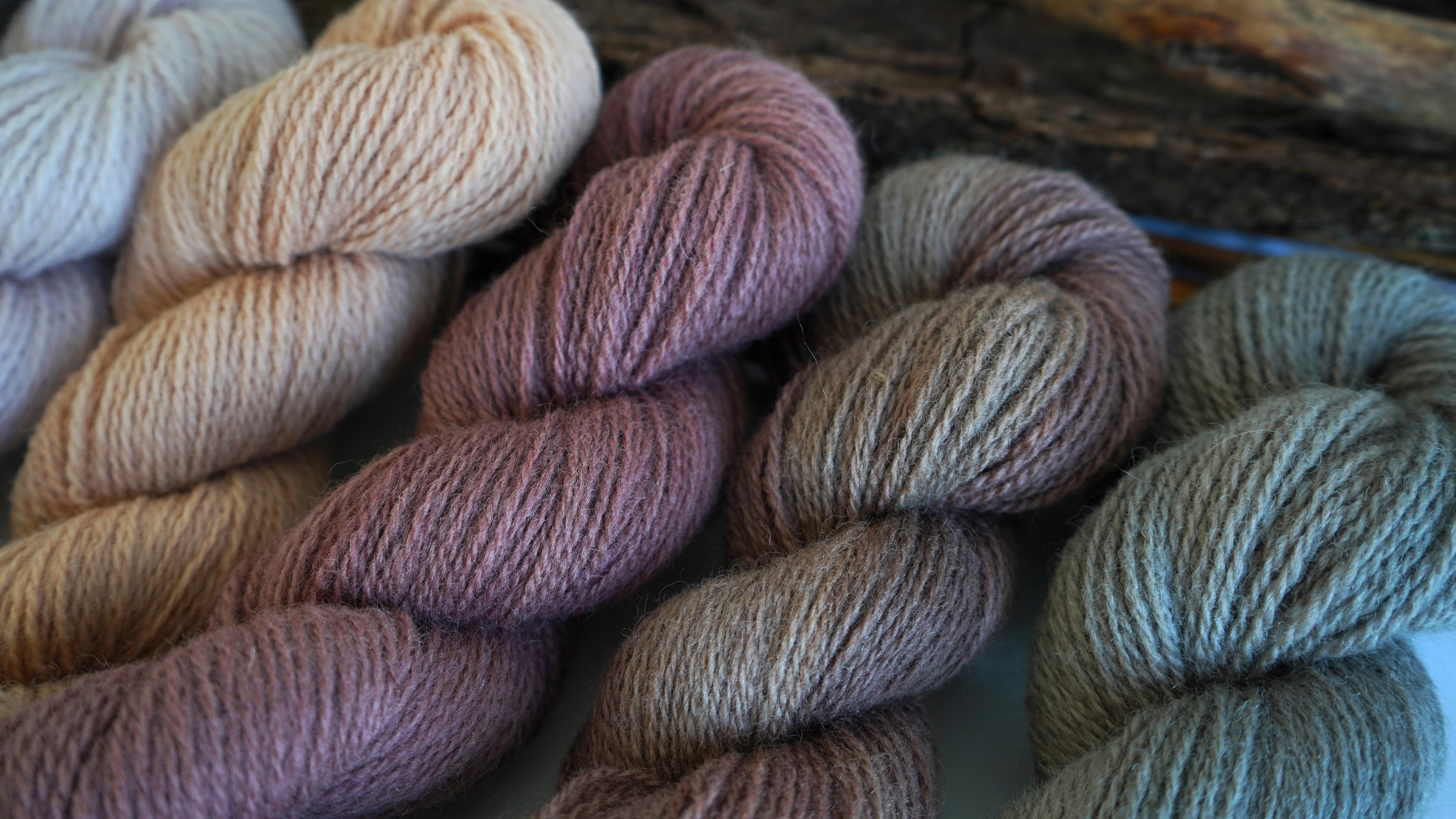 Plant dyed wool yarn set "Rosewood", 250 g