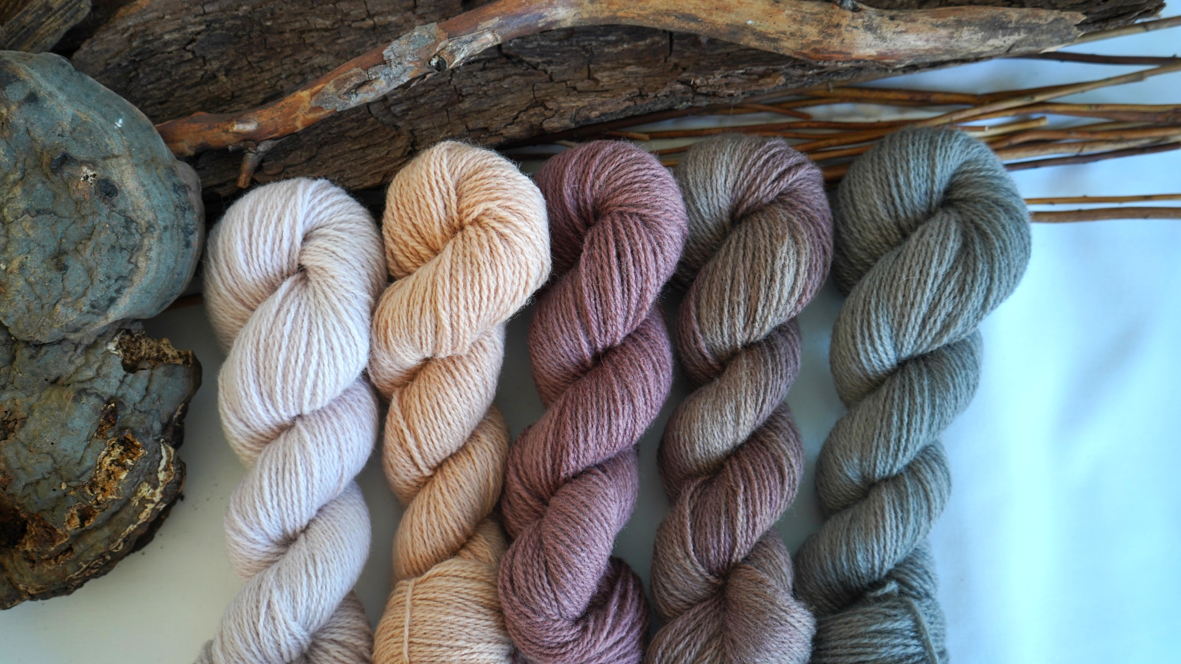 Plant dyed wool yarn set "Rosewood", 250 g