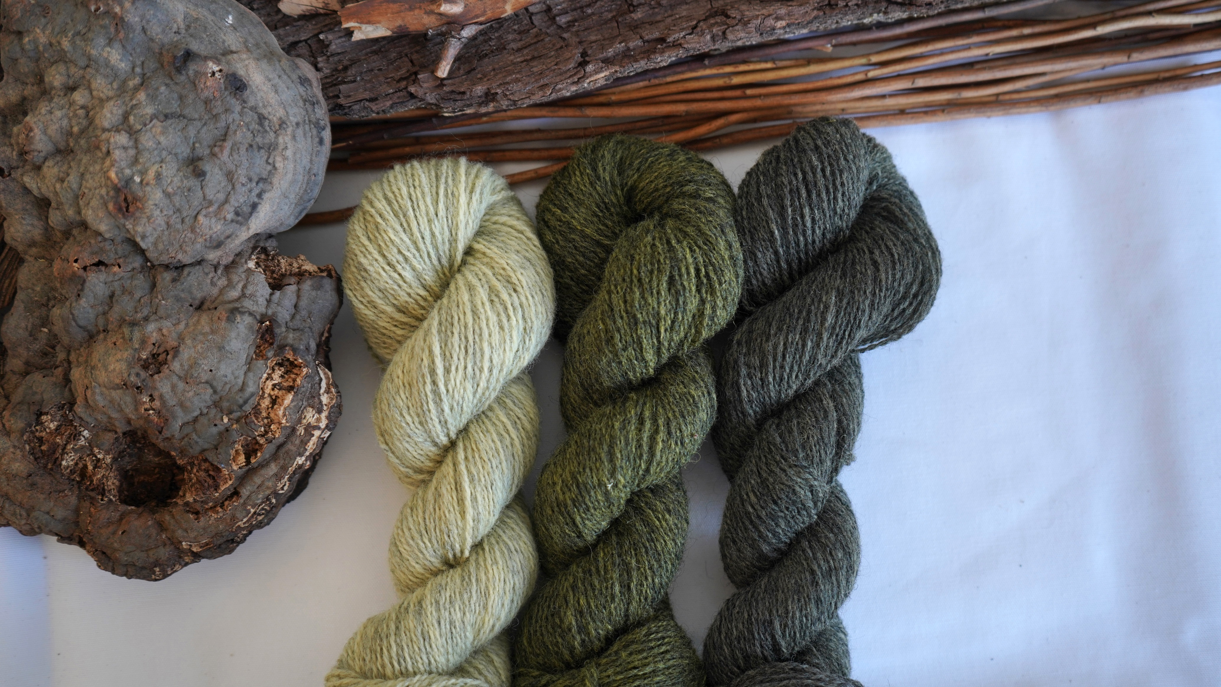 Botanically dyed wool yarn set "Hidden Forest", 150 g