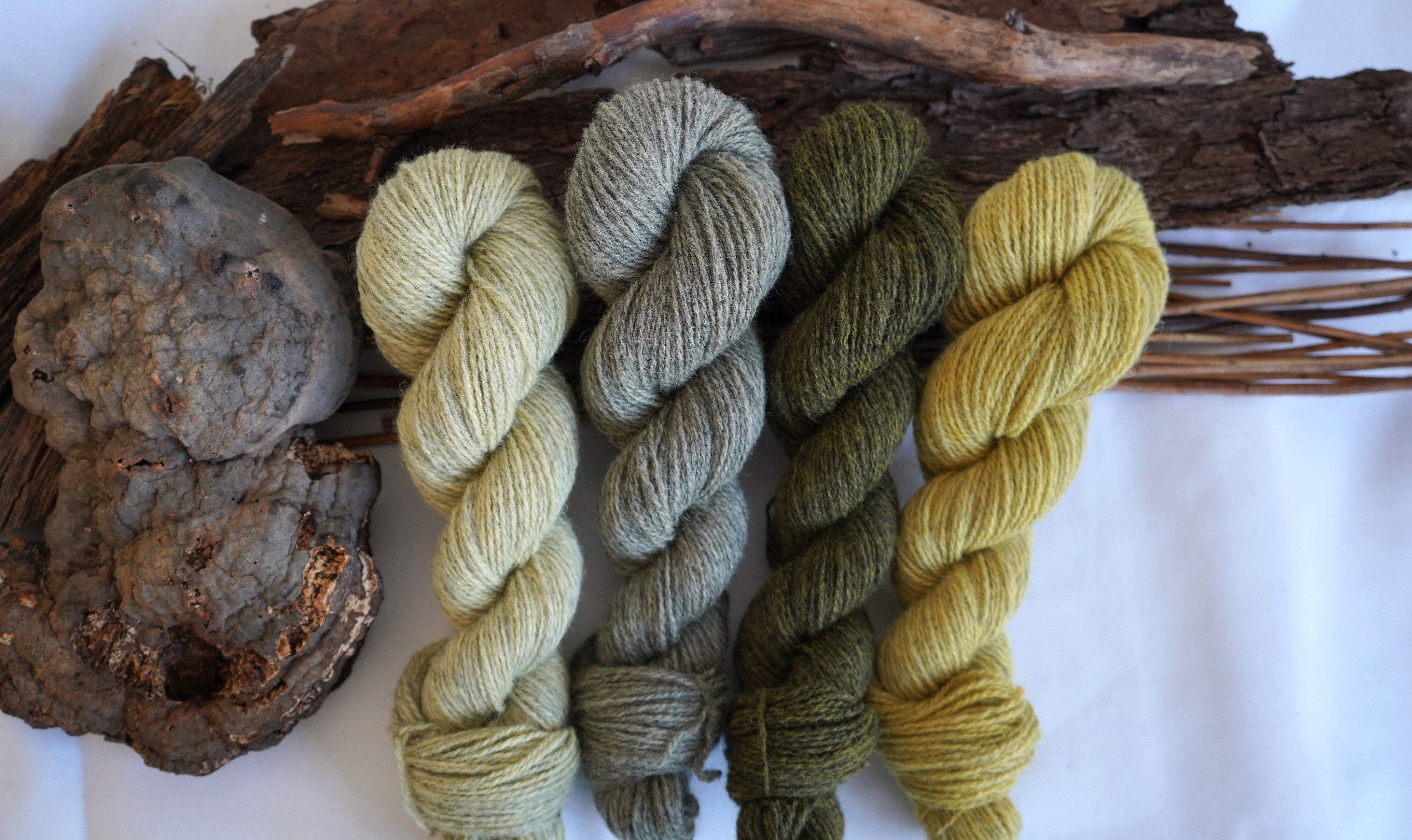 Plant dyed wool yarn set  "Green branches", 200 g