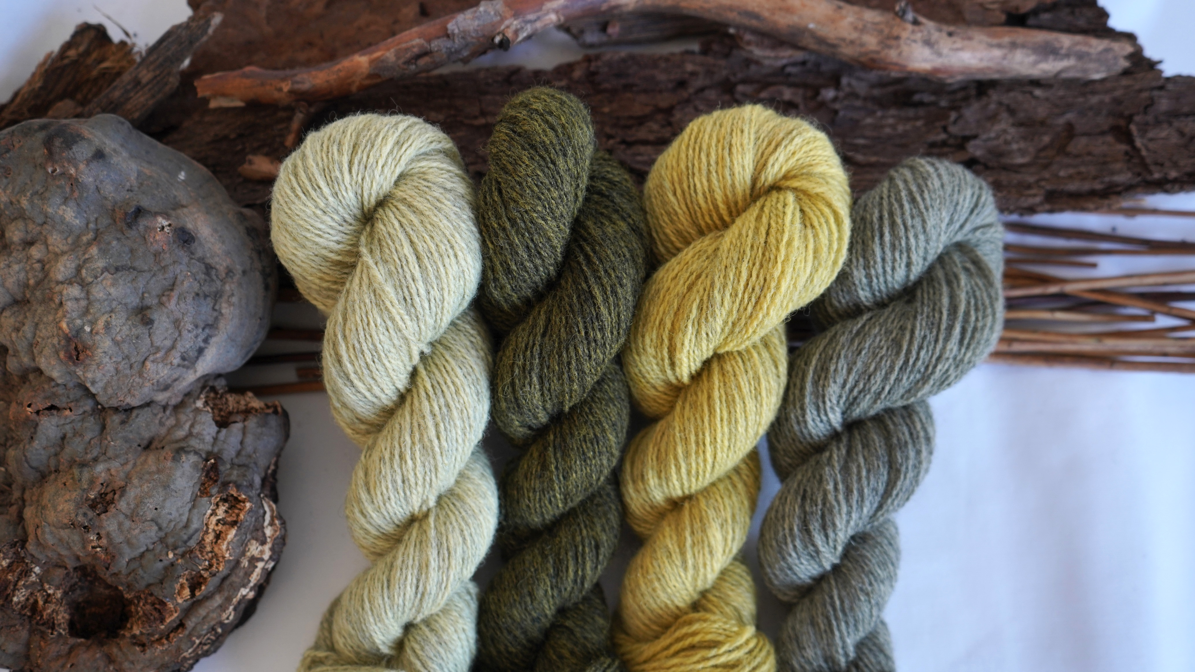 Plant dyed wool yarn set  "Green branches", 200 g