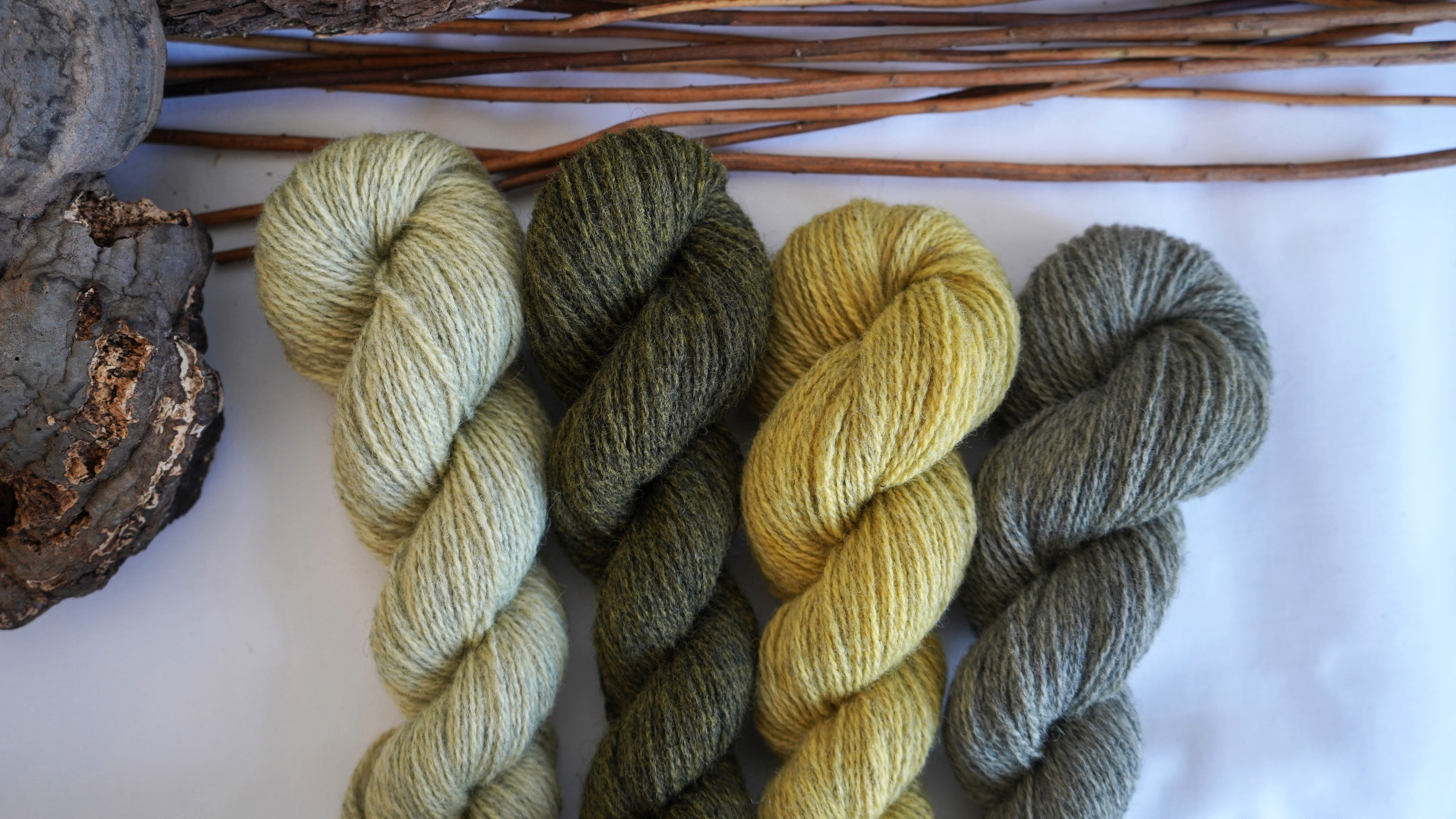 Plant dyed wool yarn set  "Green branches", 200 g
