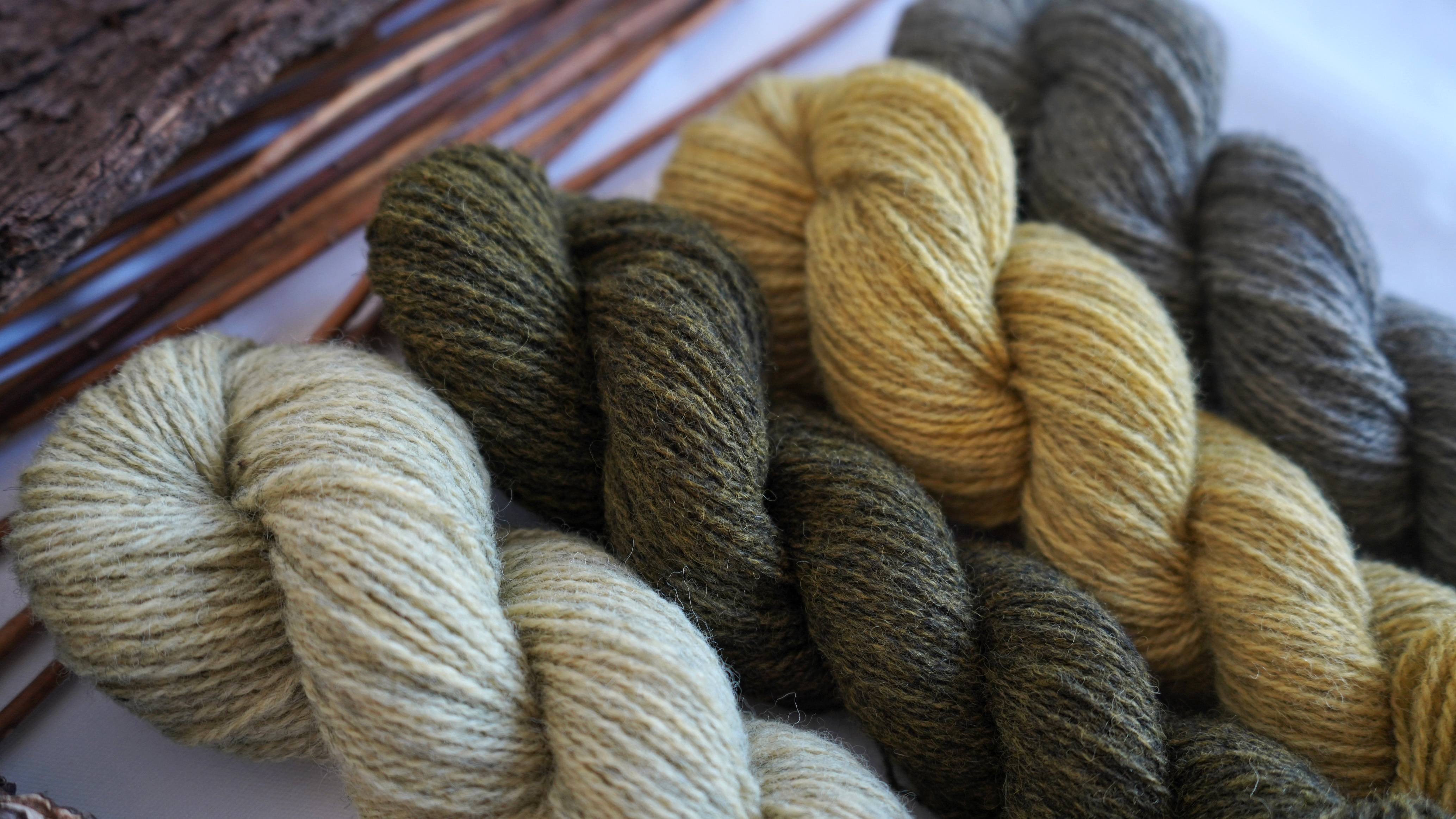 Plant dyed wool yarn set  "Green branches", 200 g