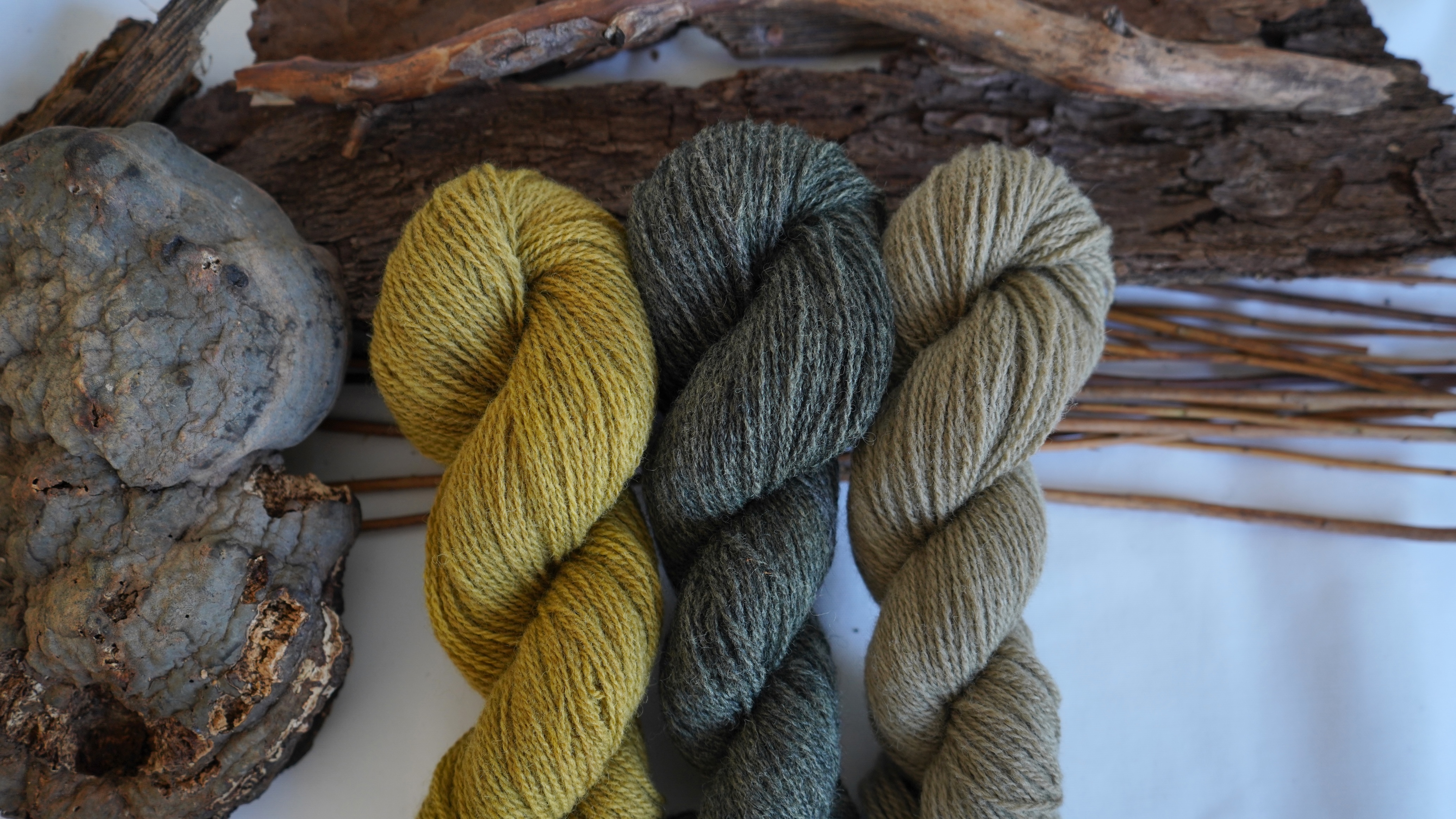 Botanically dyed wool yarn pack "Forest Whisper", 150 g