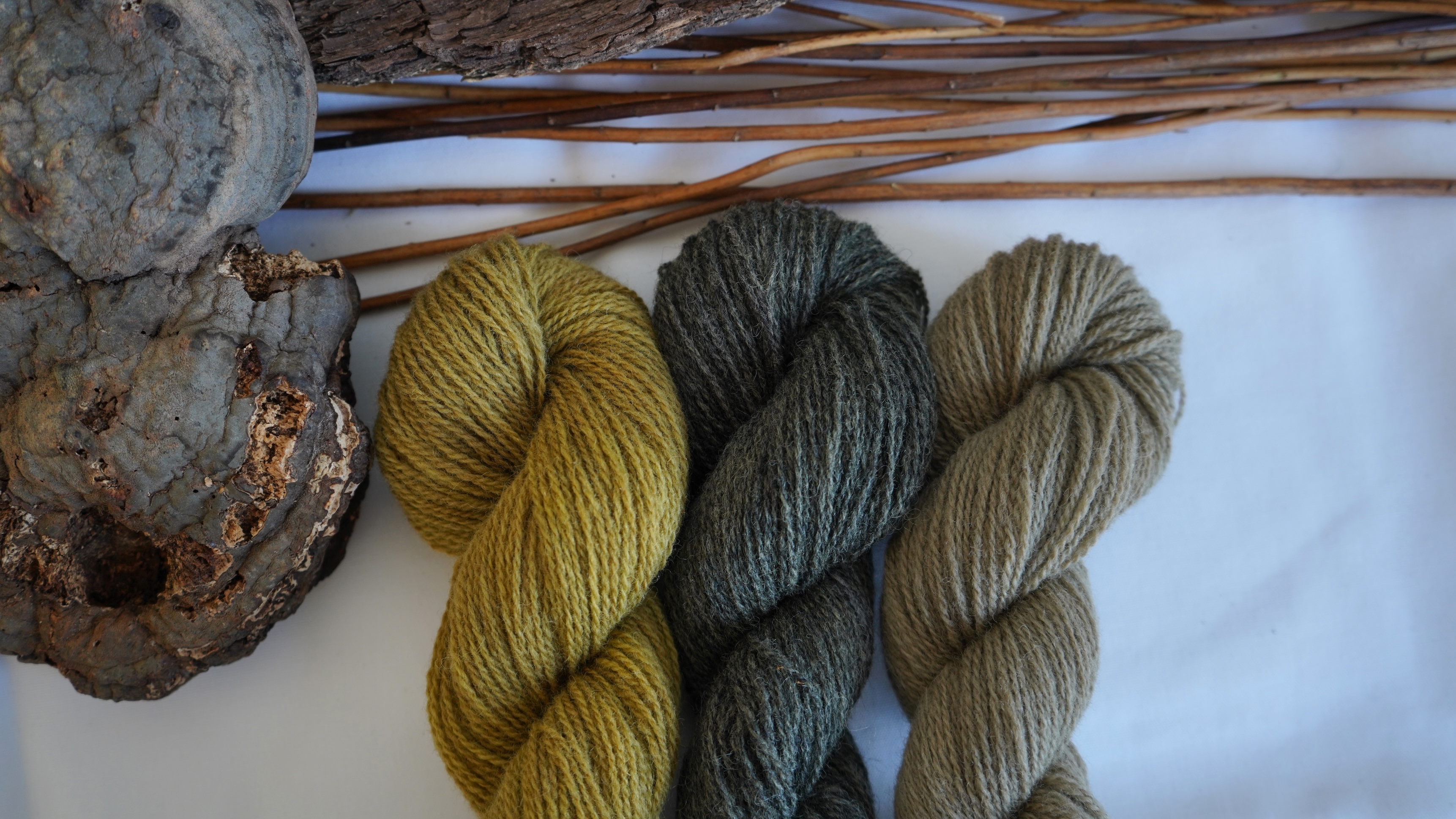 Botanically dyed wool yarn pack "Forest Whisper", 150 g