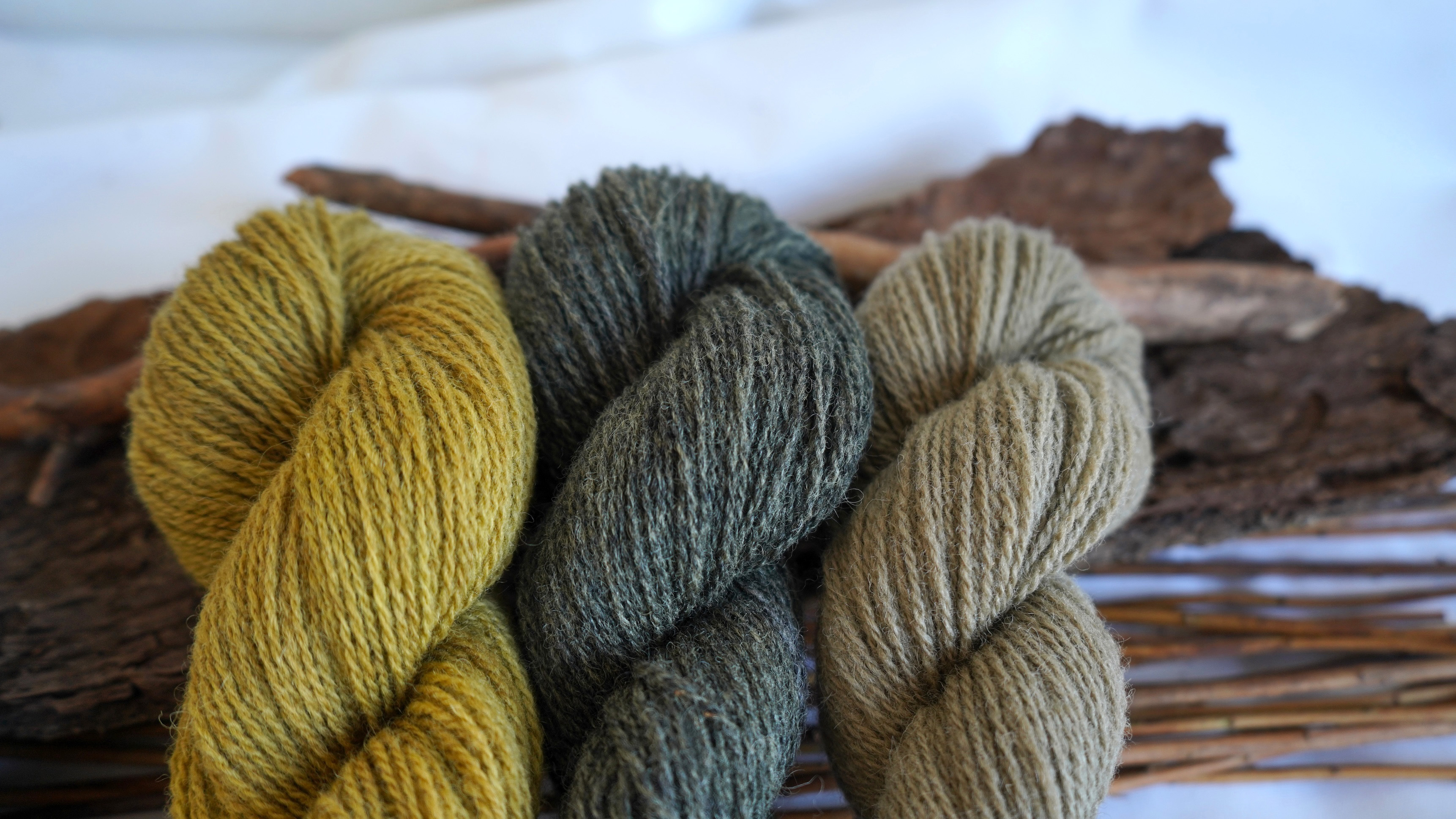 Botanically dyed wool yarn pack "Forest Whisper", 150 g