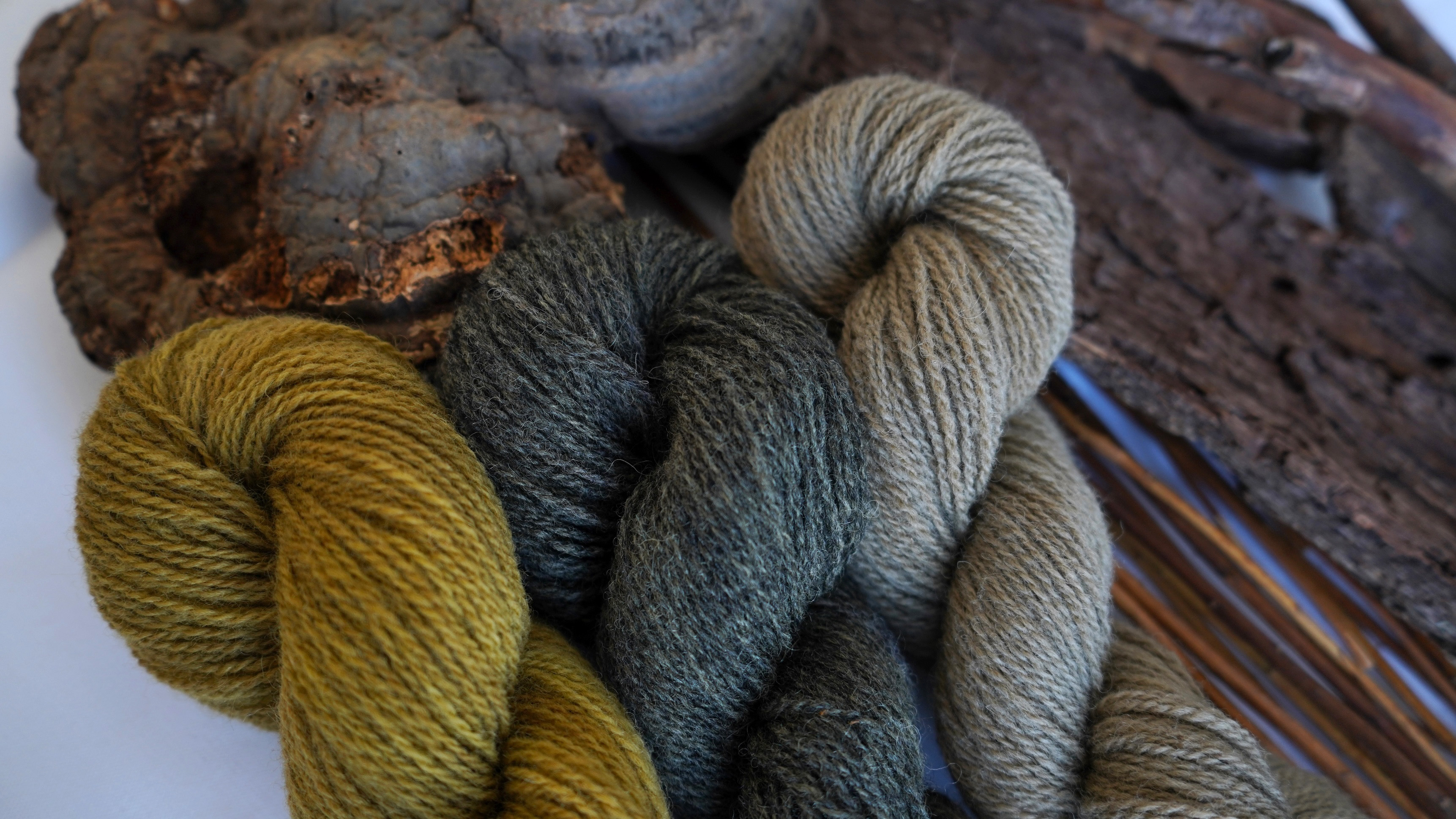 Botanically dyed wool yarn pack "Forest Whisper", 150 g