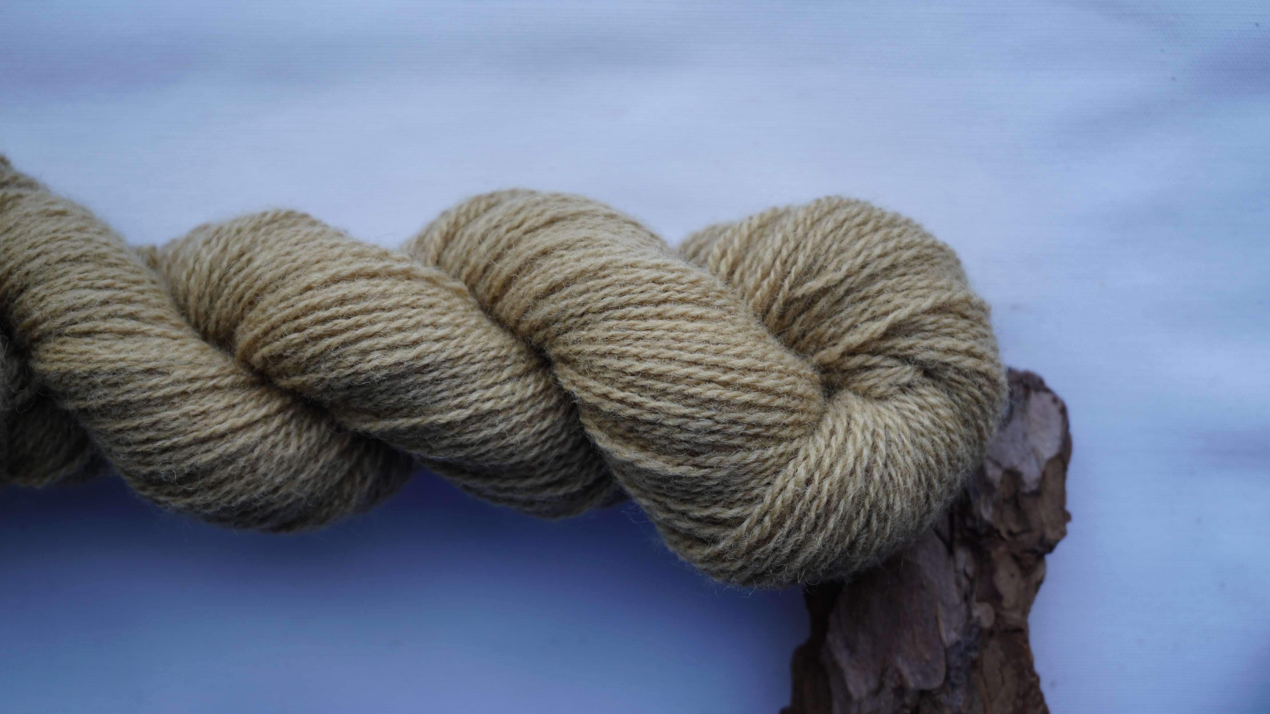 Plant dyed wool yarn "Sand", 50 g 