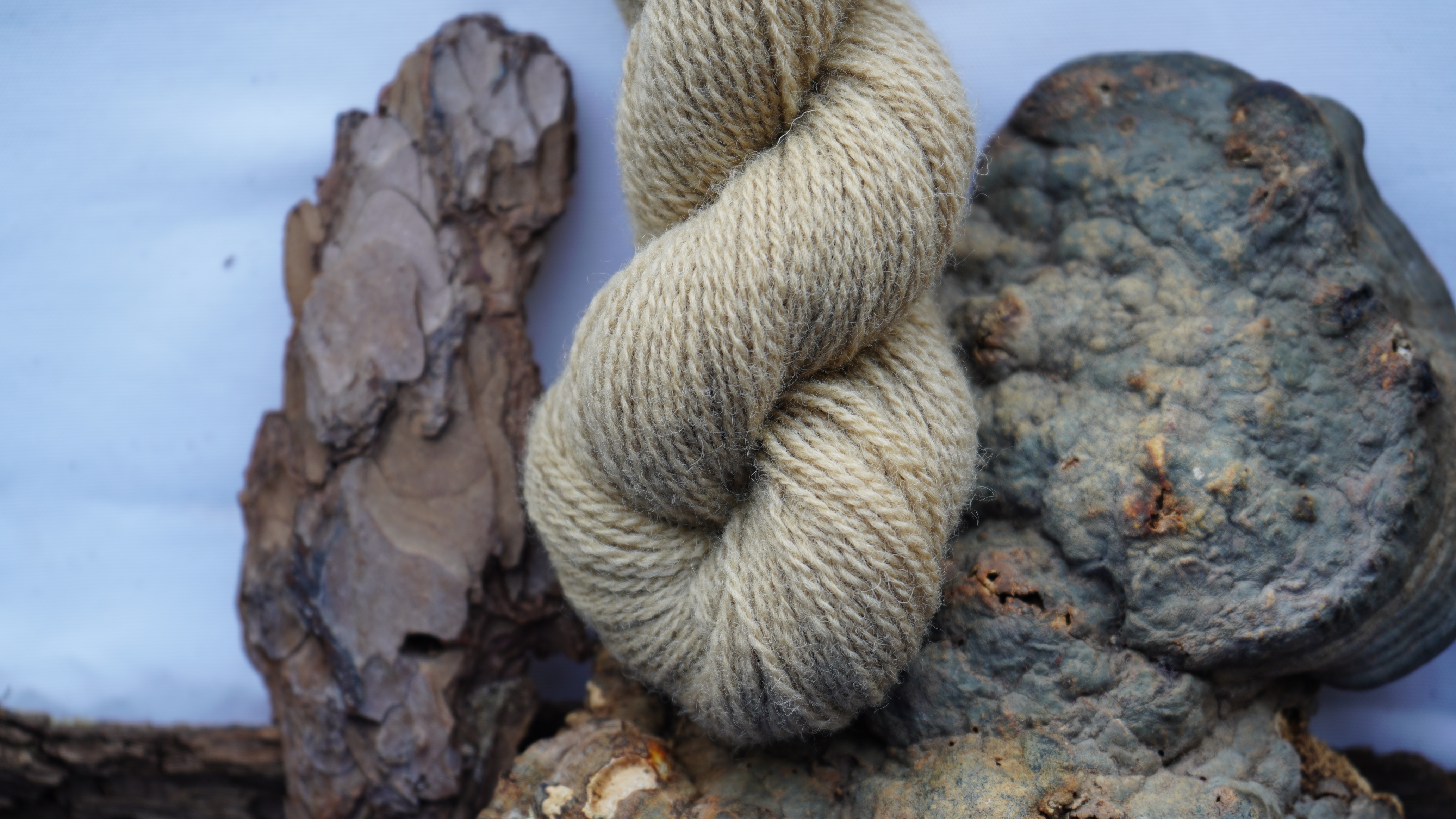 Plant dyed wool yarn "Sand", 50 g 