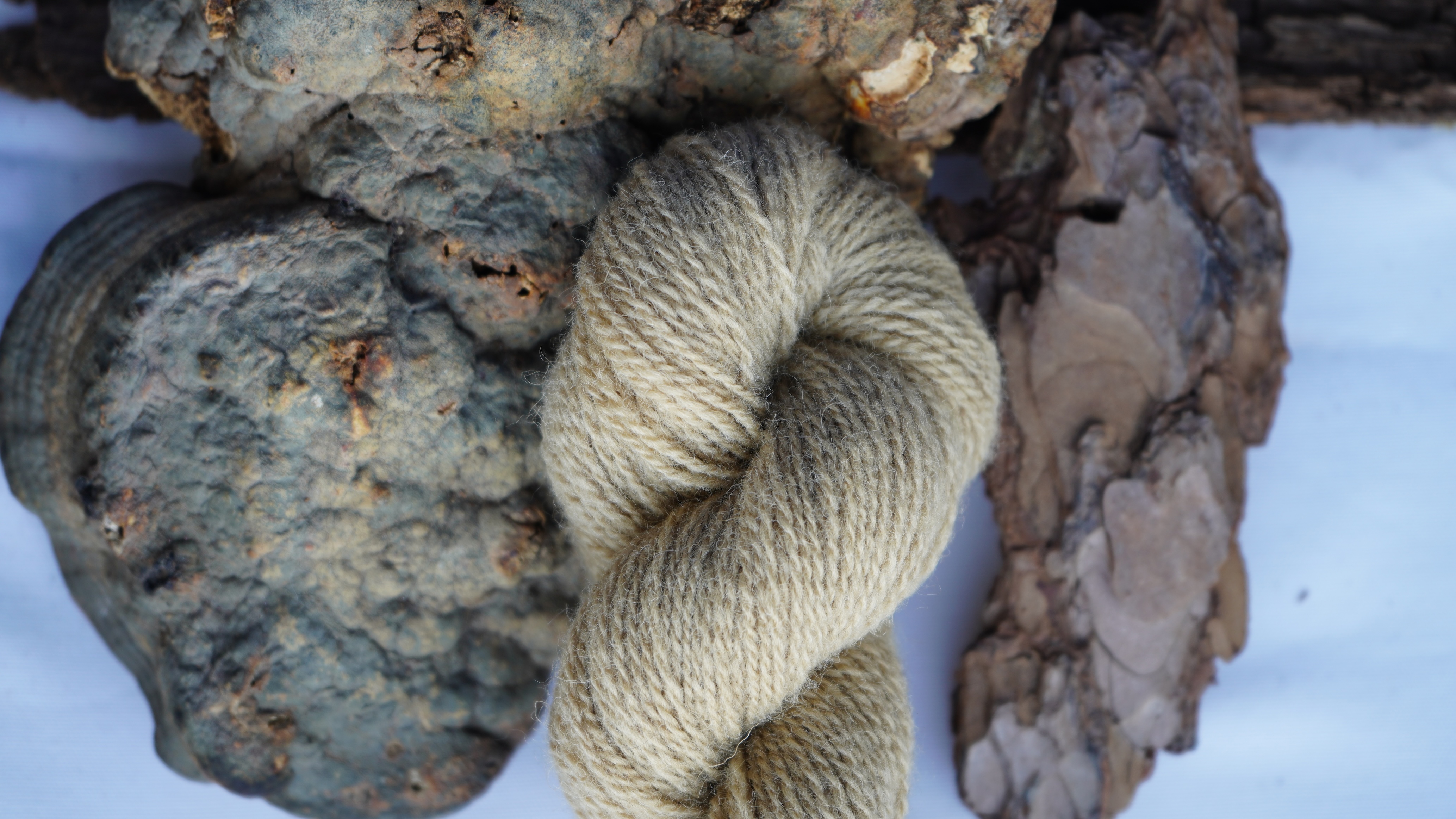 Plant dyed wool yarn "Sand", 50 g 