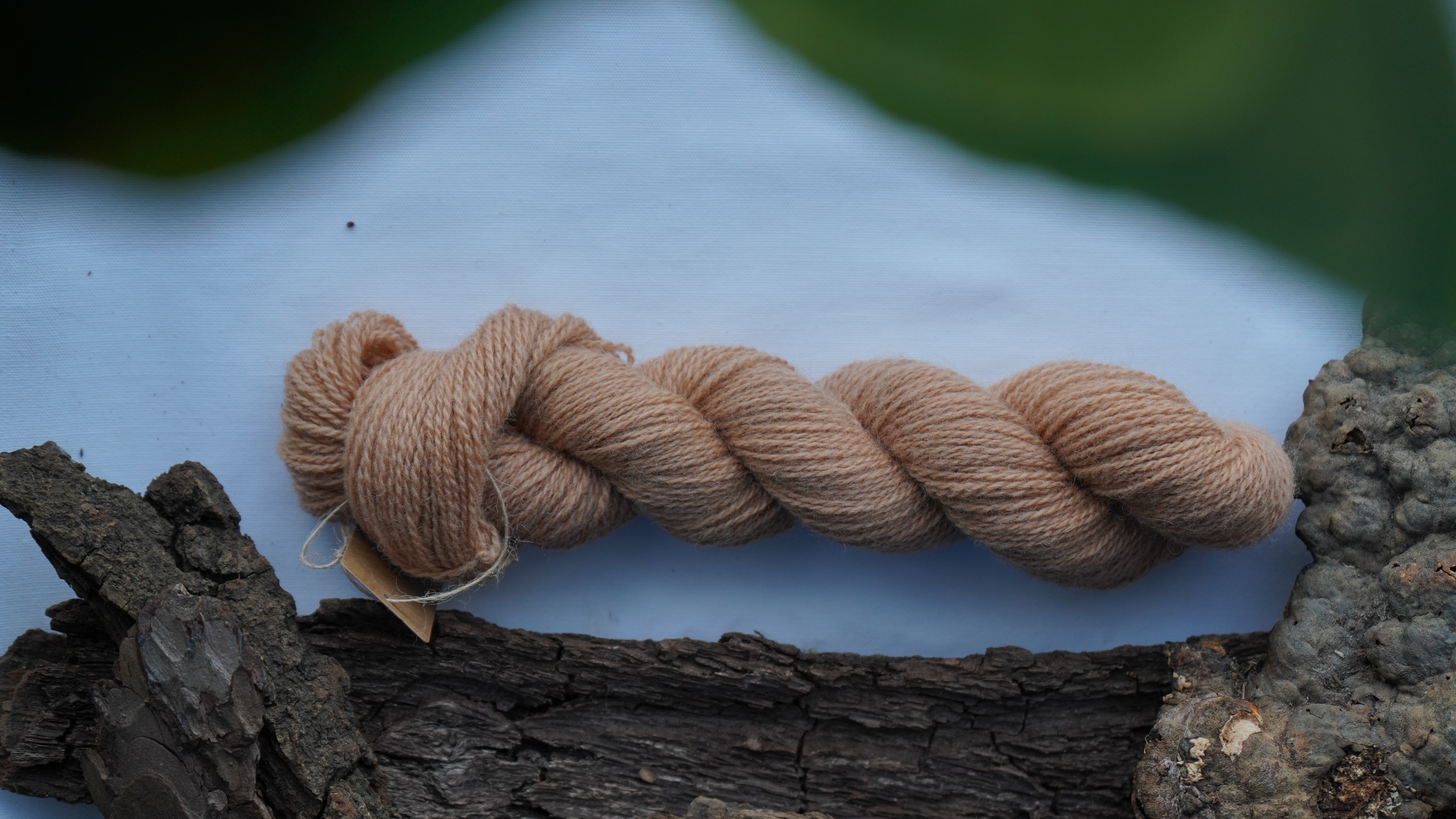 Plant dyed wool yarn "Apricot nectar", 50 g 