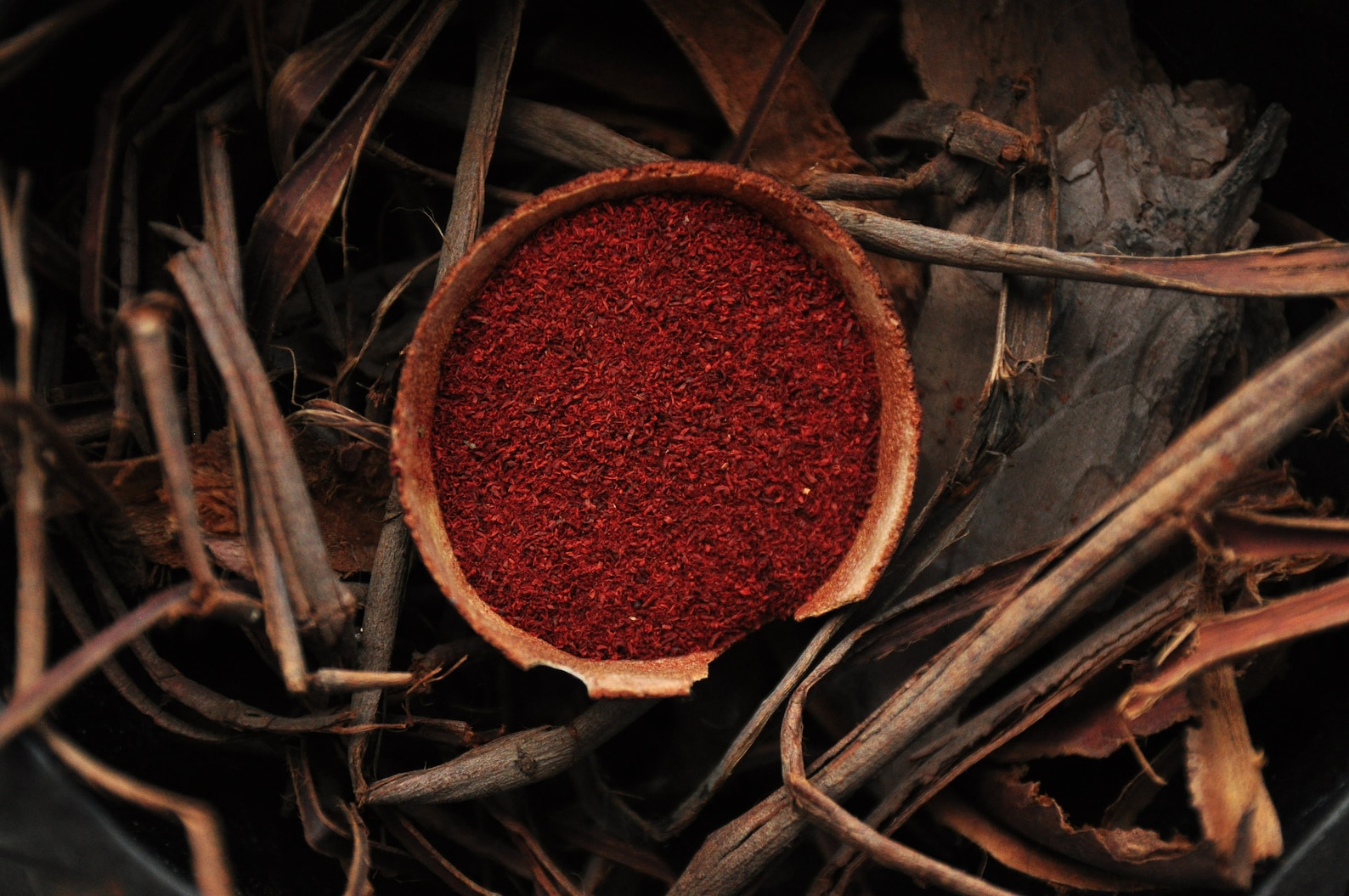 Red sandalwood