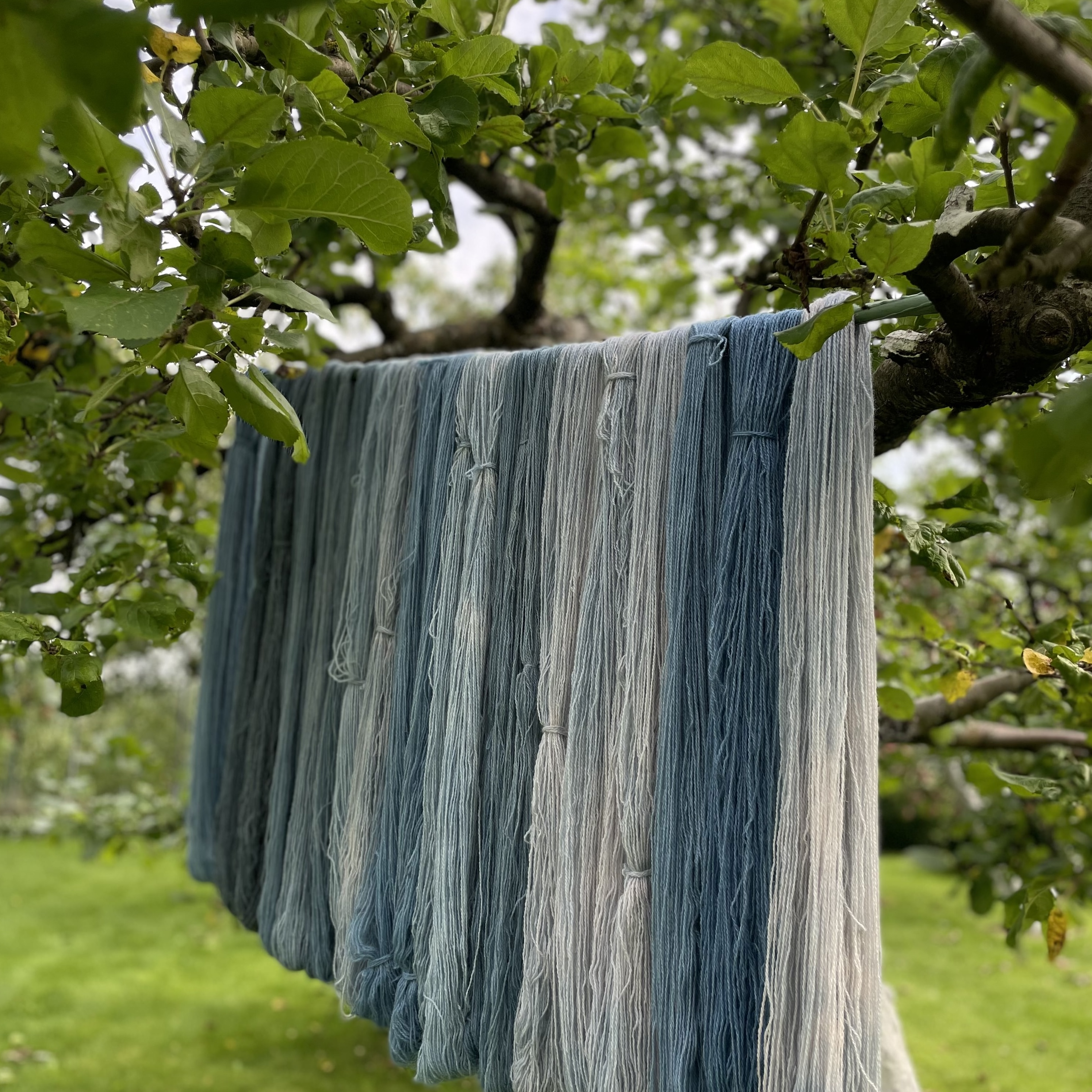 Plant dyed yarn mystery box, 10 x 20 g