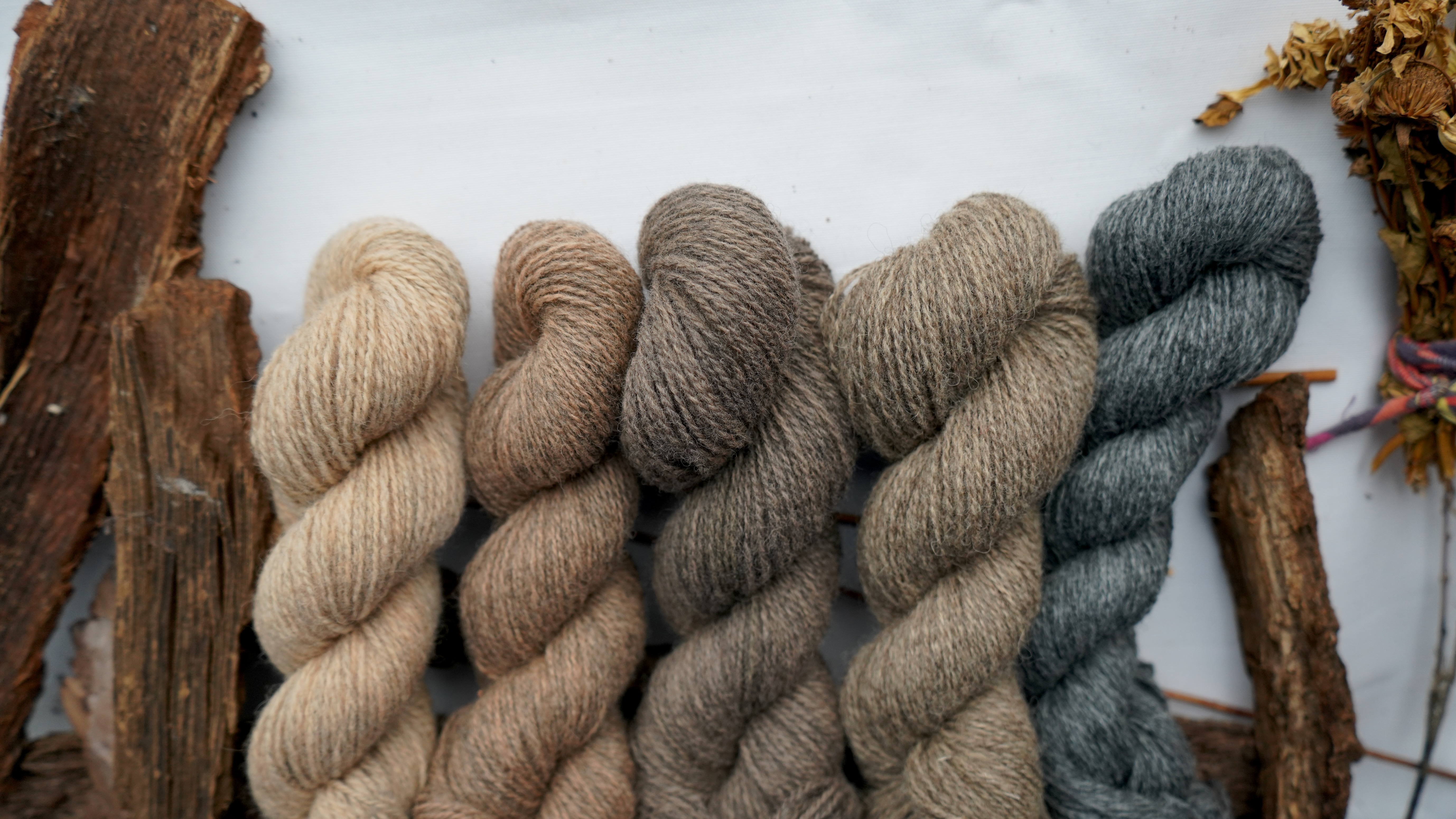 Hand dyed wool yarn set "Woodland". 250 g