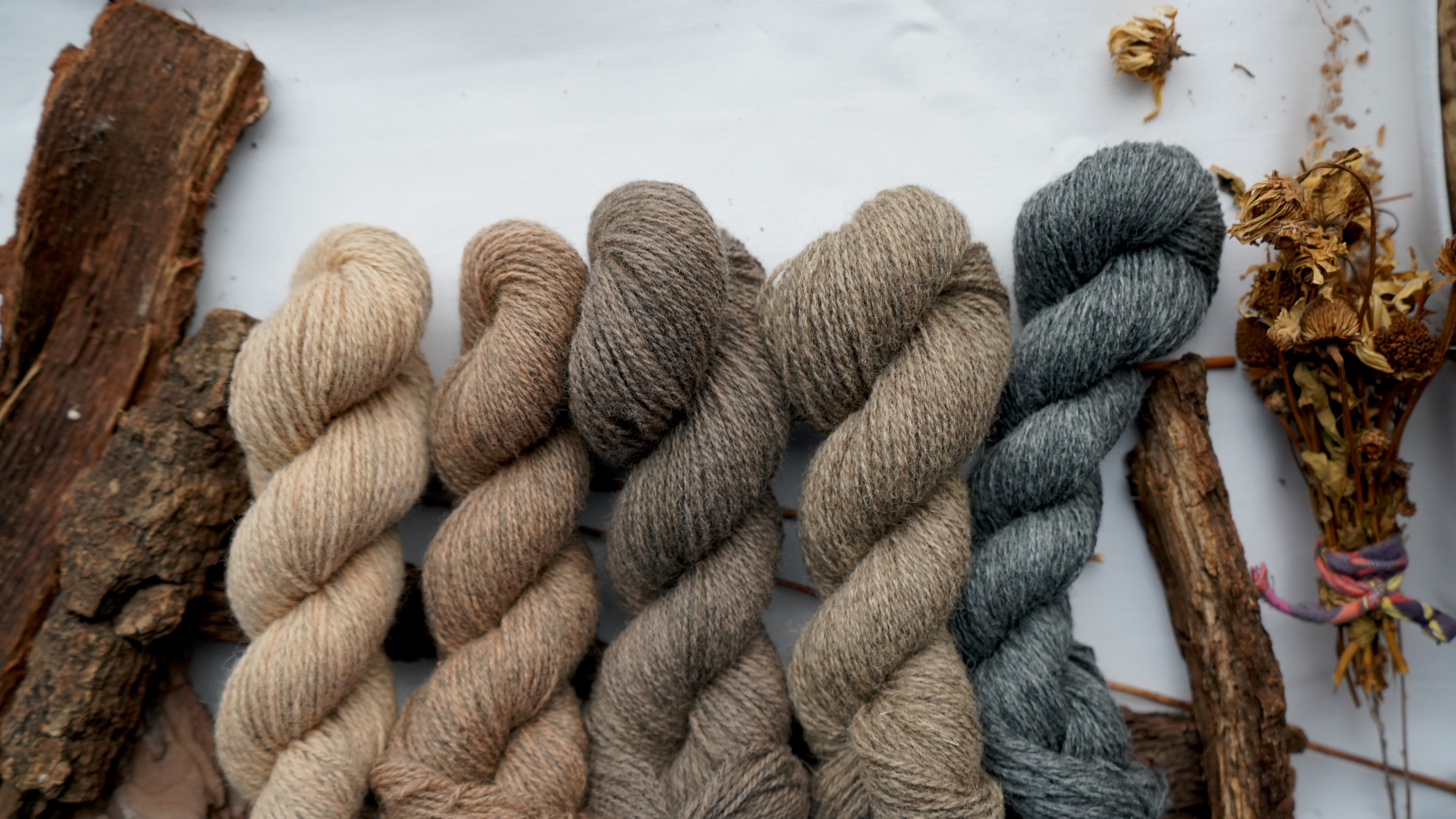 Hand dyed wool yarn set "Woodland". 250 g