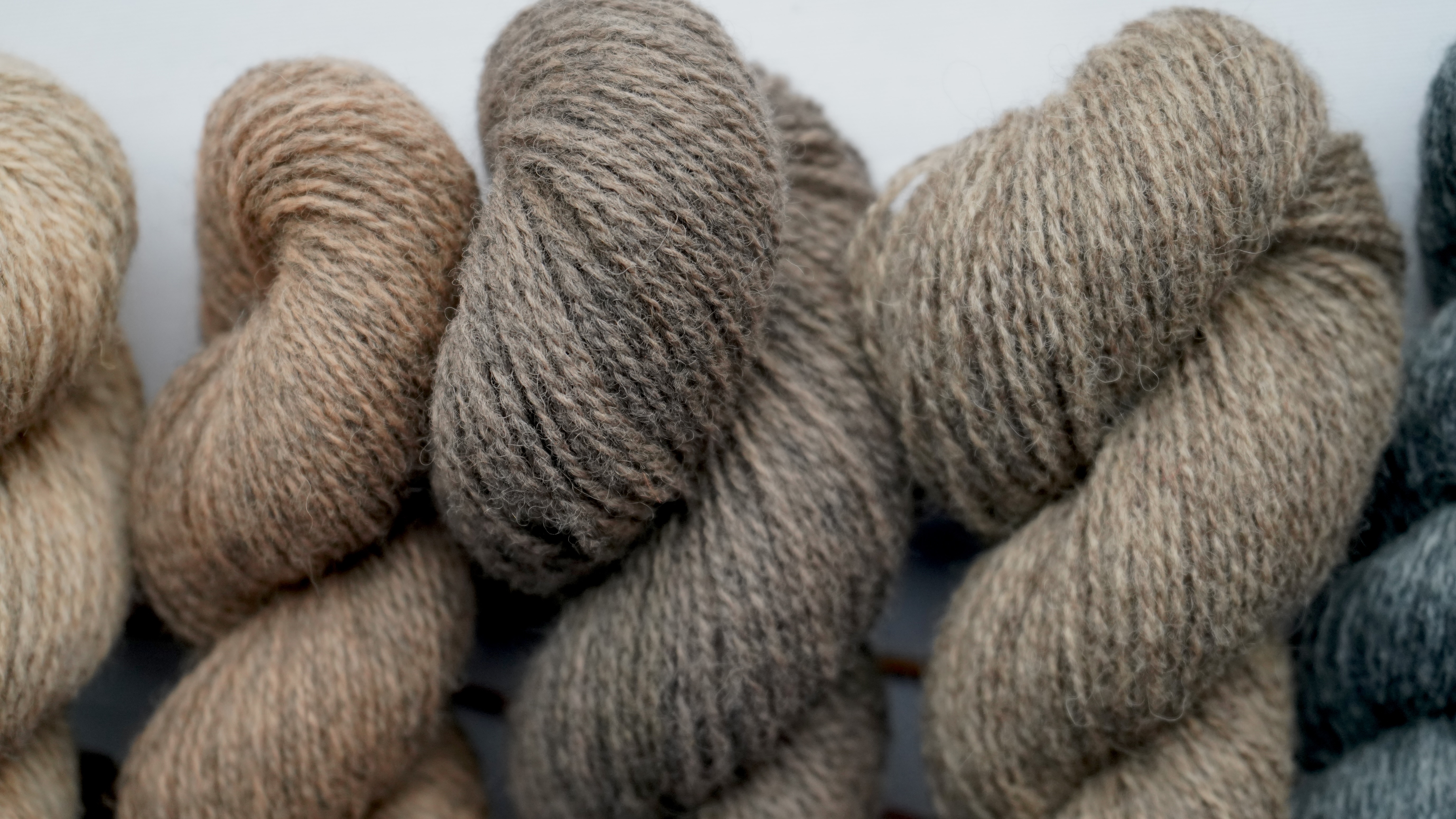 Hand dyed wool yarn set "Woodland". 250 g