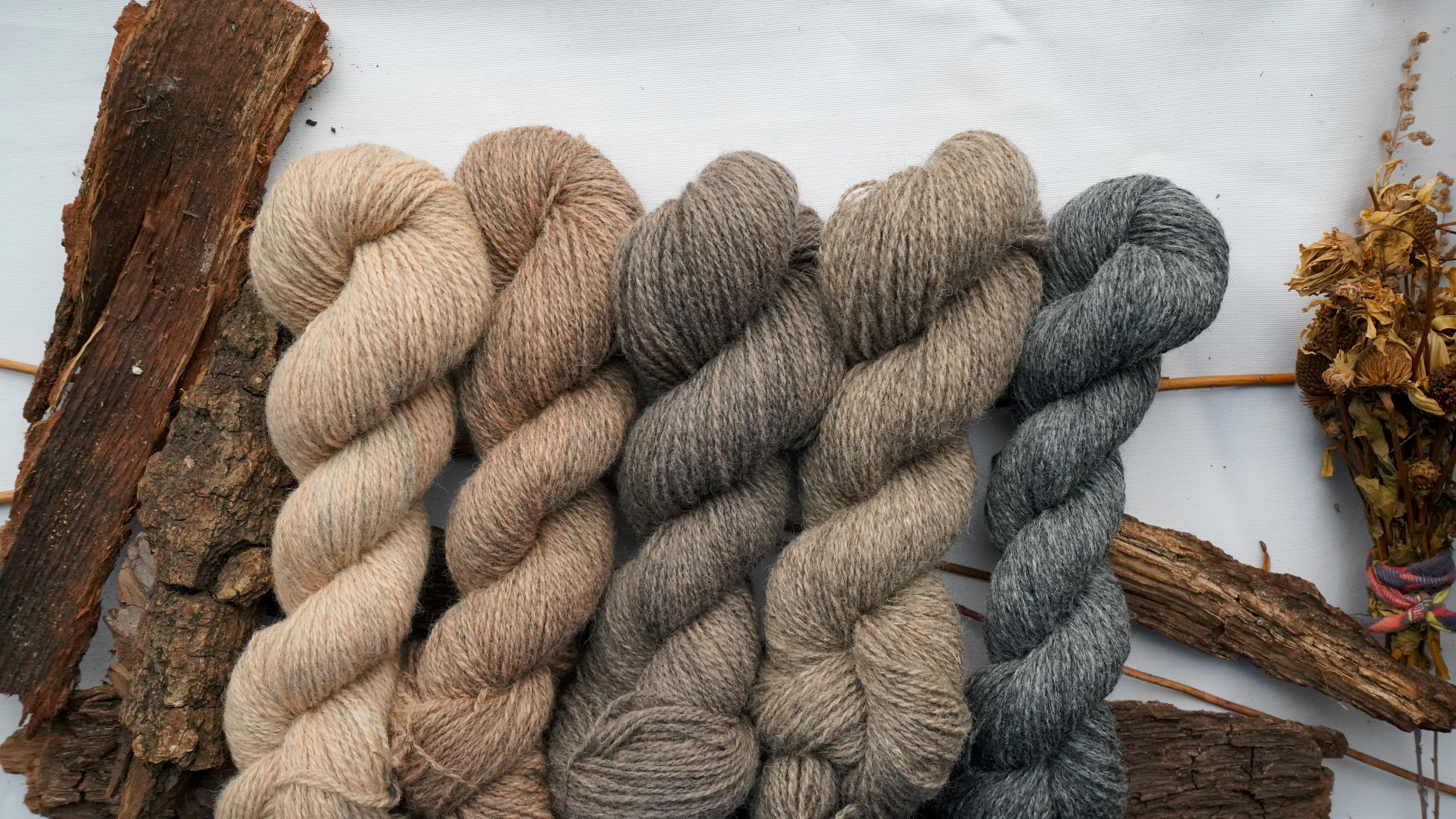 Hand dyed wool yarn set "Woodland". 250 g